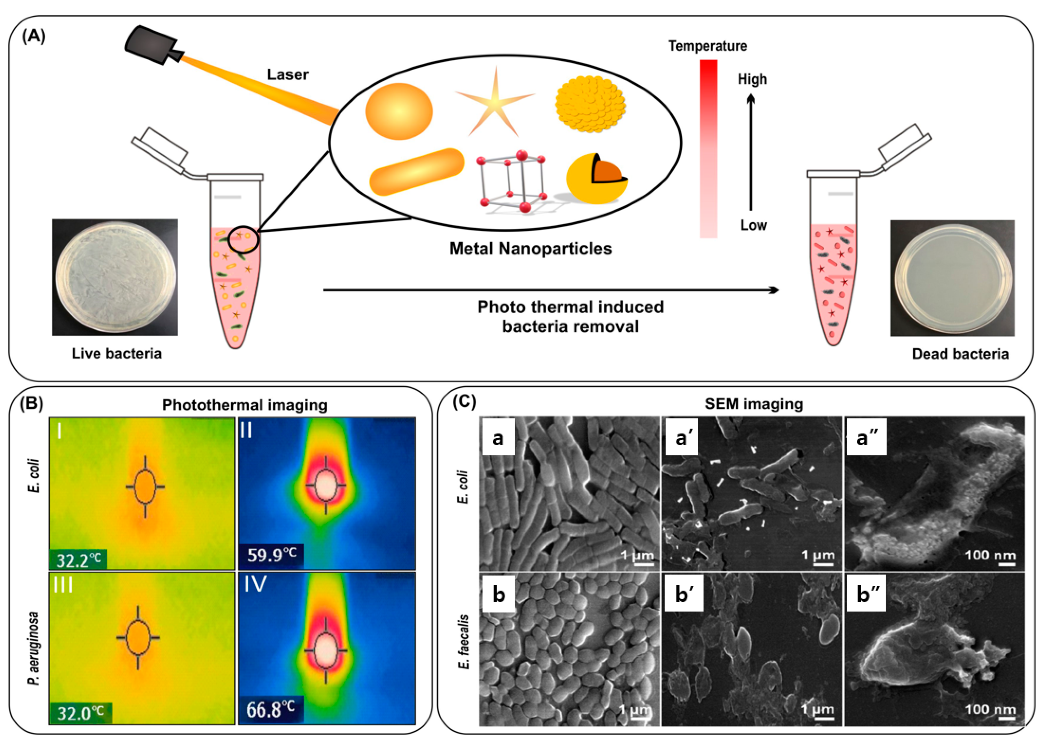 Nanomaterials 13 02529 g006