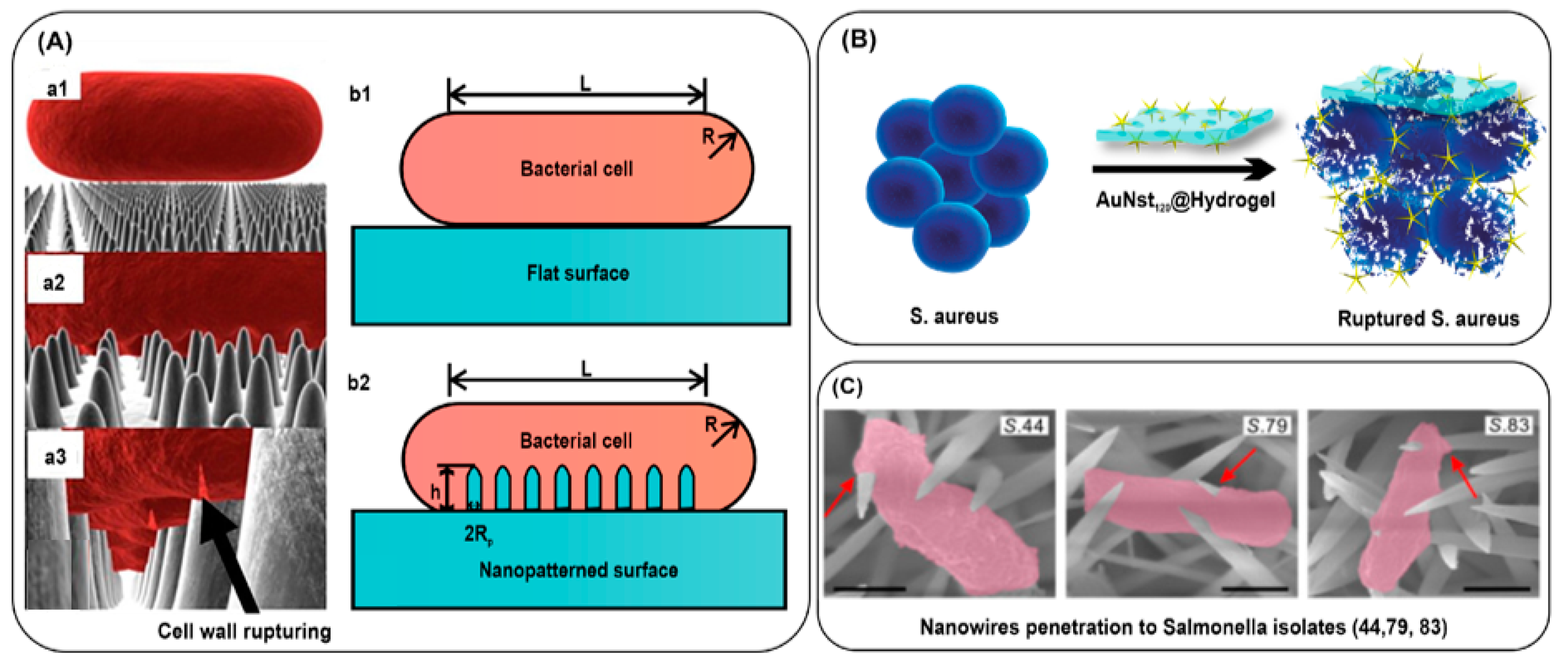 Nanomaterials 13 02529 g007