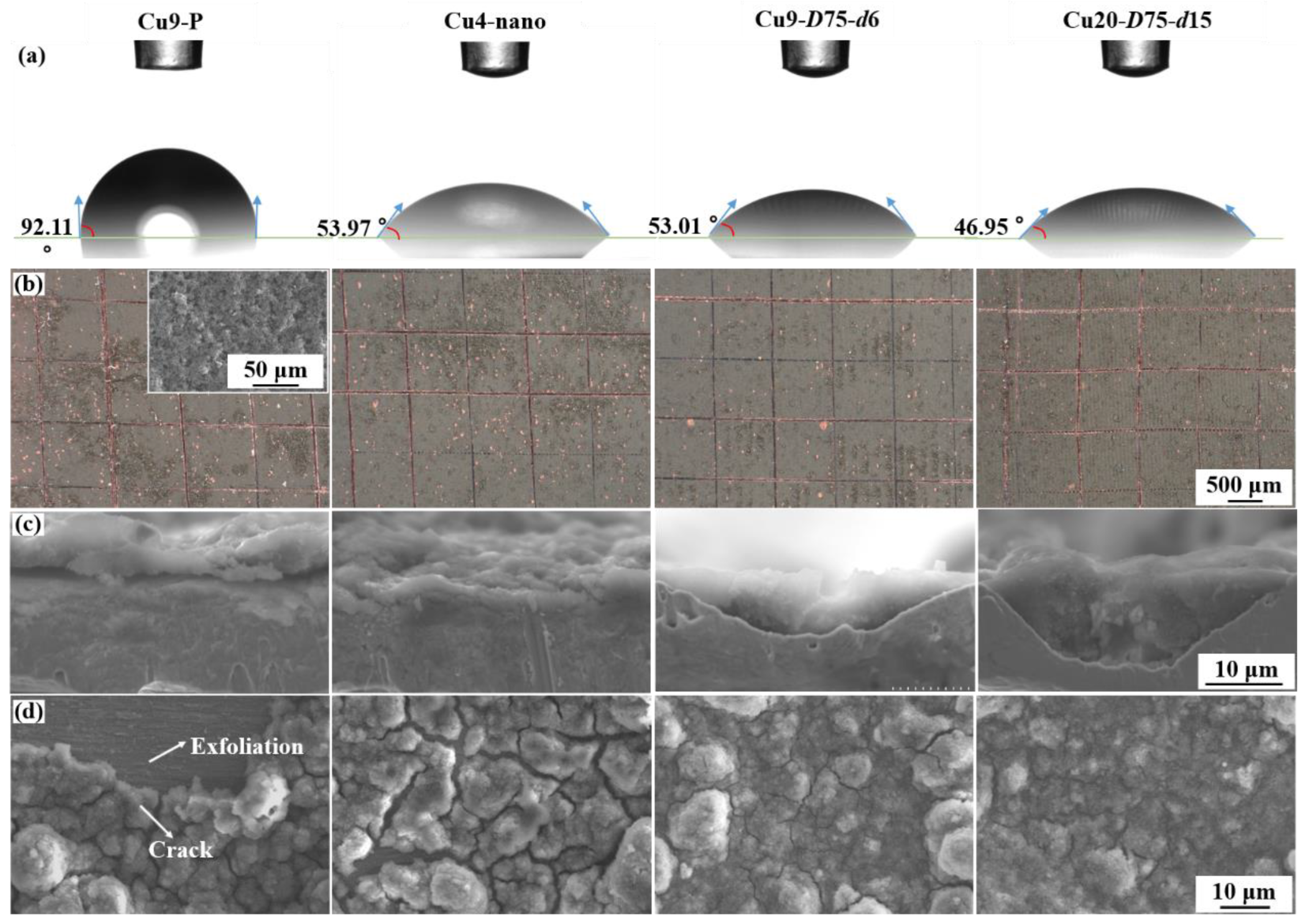 Nanomaterials 13 02534 g007