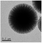 Nanomaterials 13 02543 i001