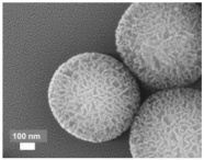 Nanomaterials 13 02543 i002