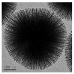 Nanomaterials 13 02543 i005