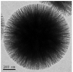 Nanomaterials 13 02543 i007