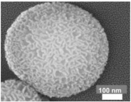 Nanomaterials 13 02543 i008