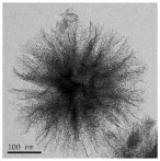 Nanomaterials 13 02543 i009