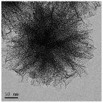 Nanomaterials 13 02543 i011