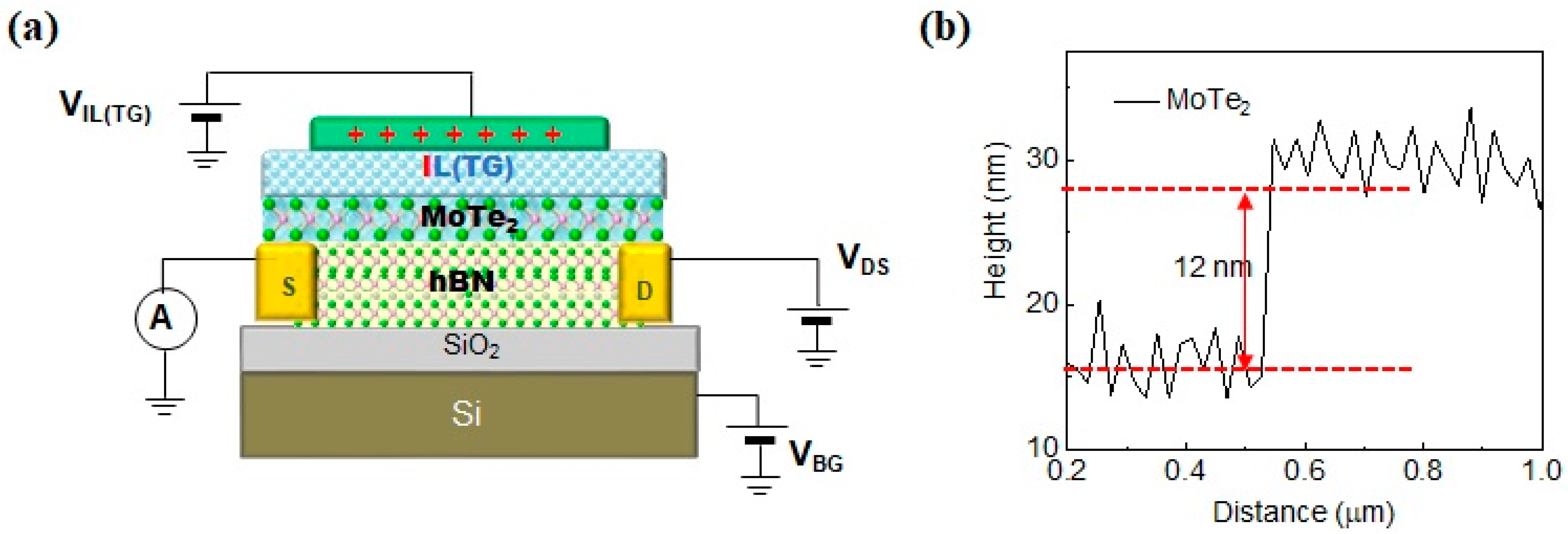 Nanomaterials 13 02559 g001