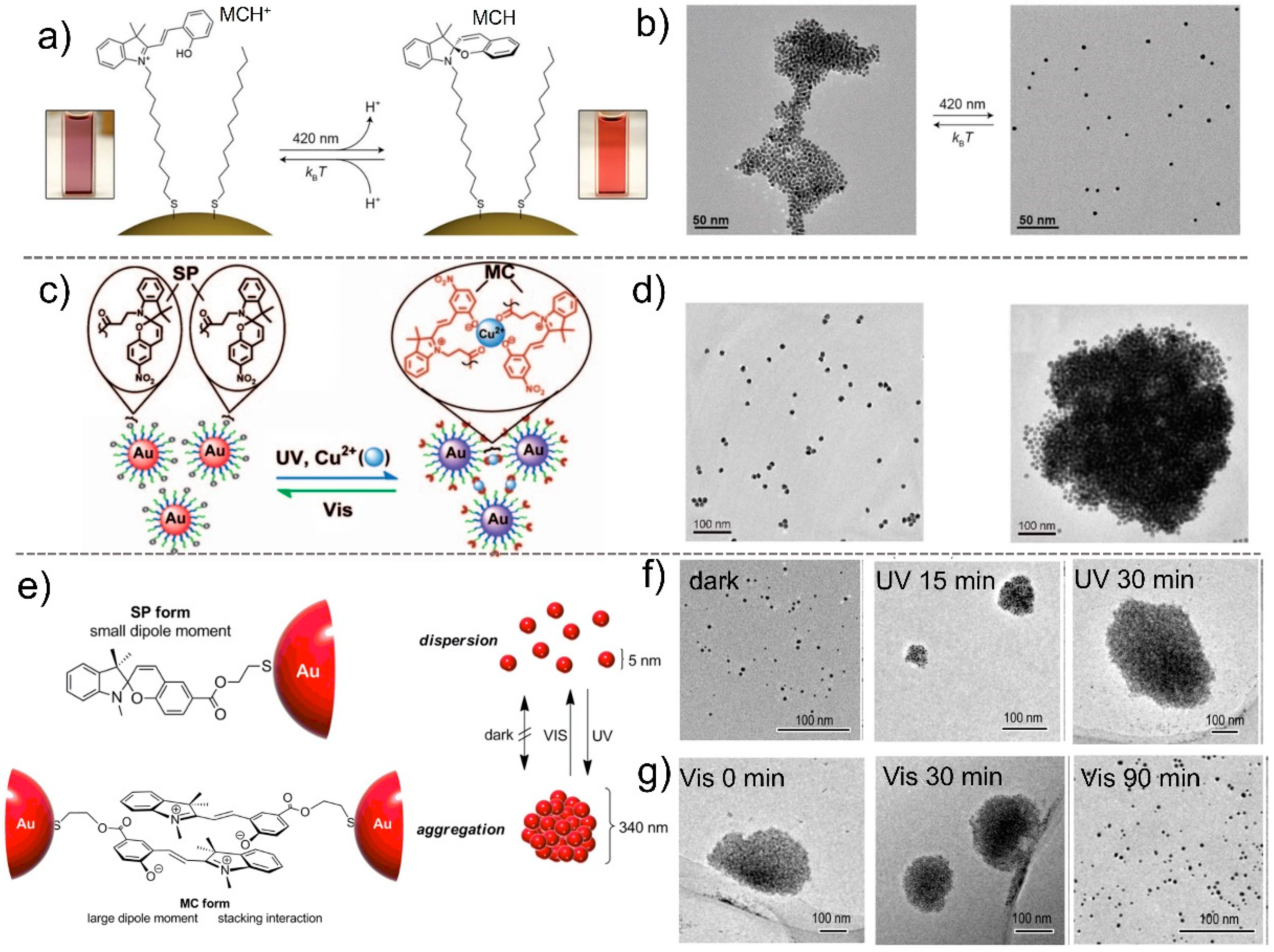Nanomaterials 13 02562 g005
