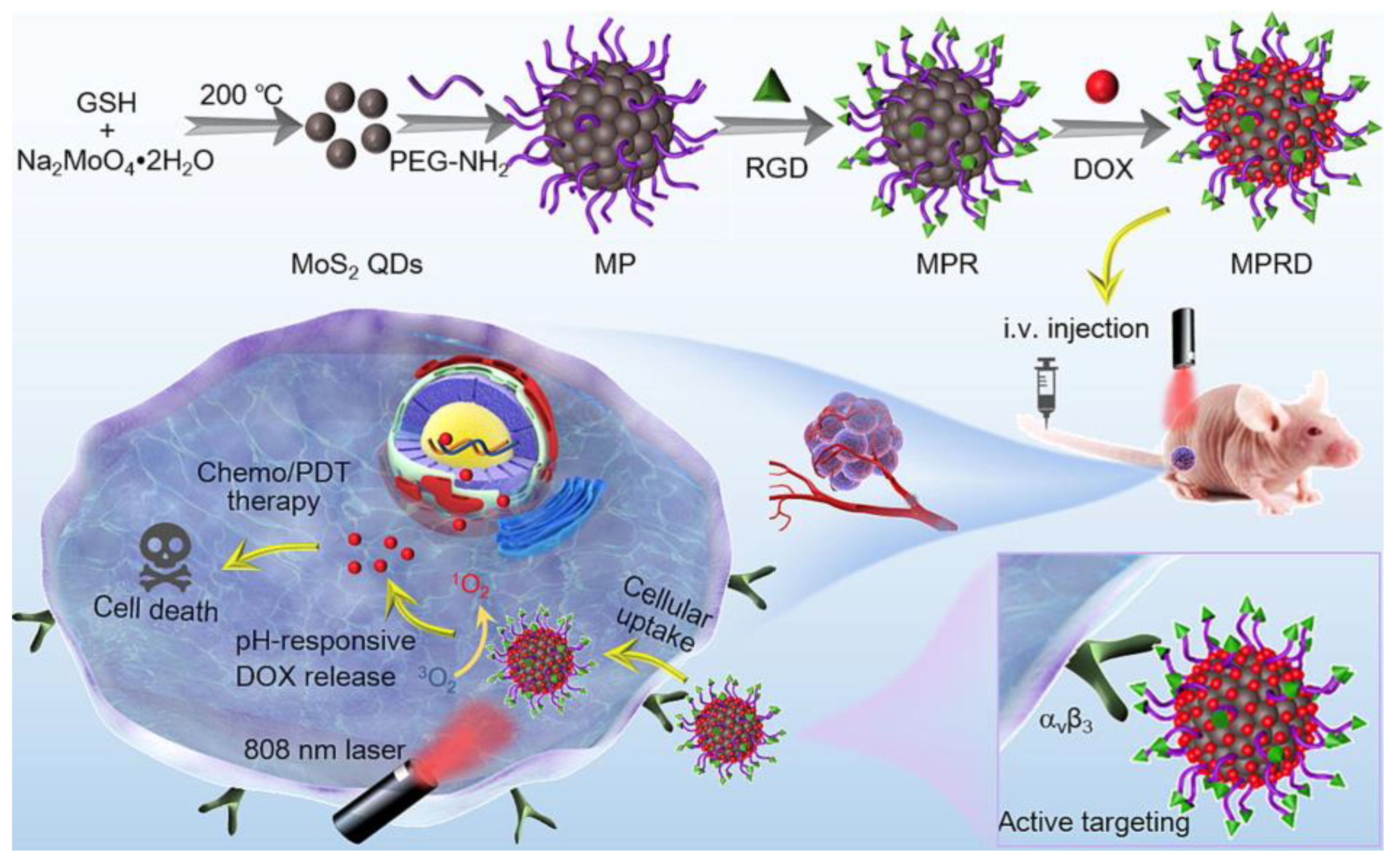 Nanomaterials 13 02566 g007