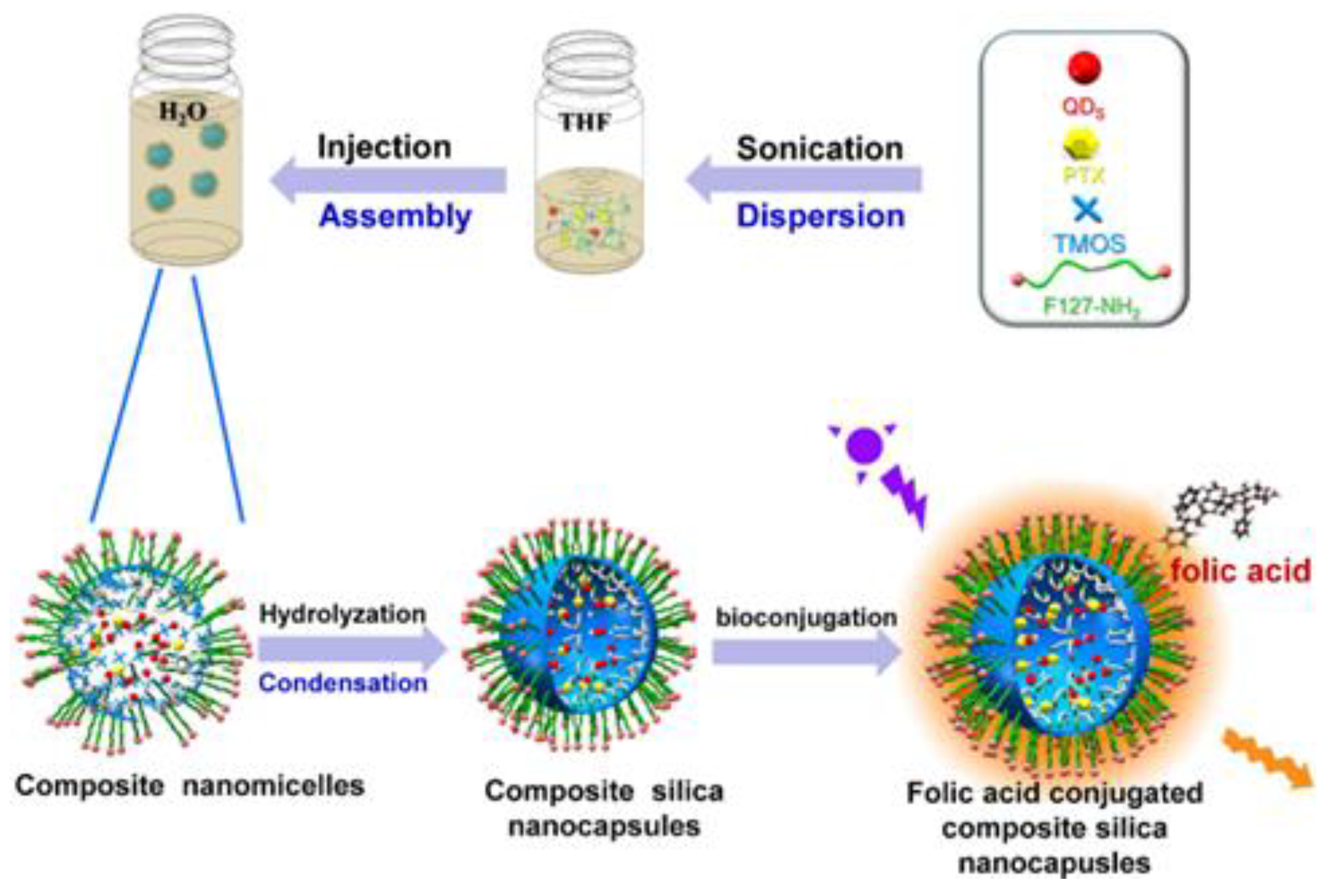 Nanomaterials 13 02566 g009