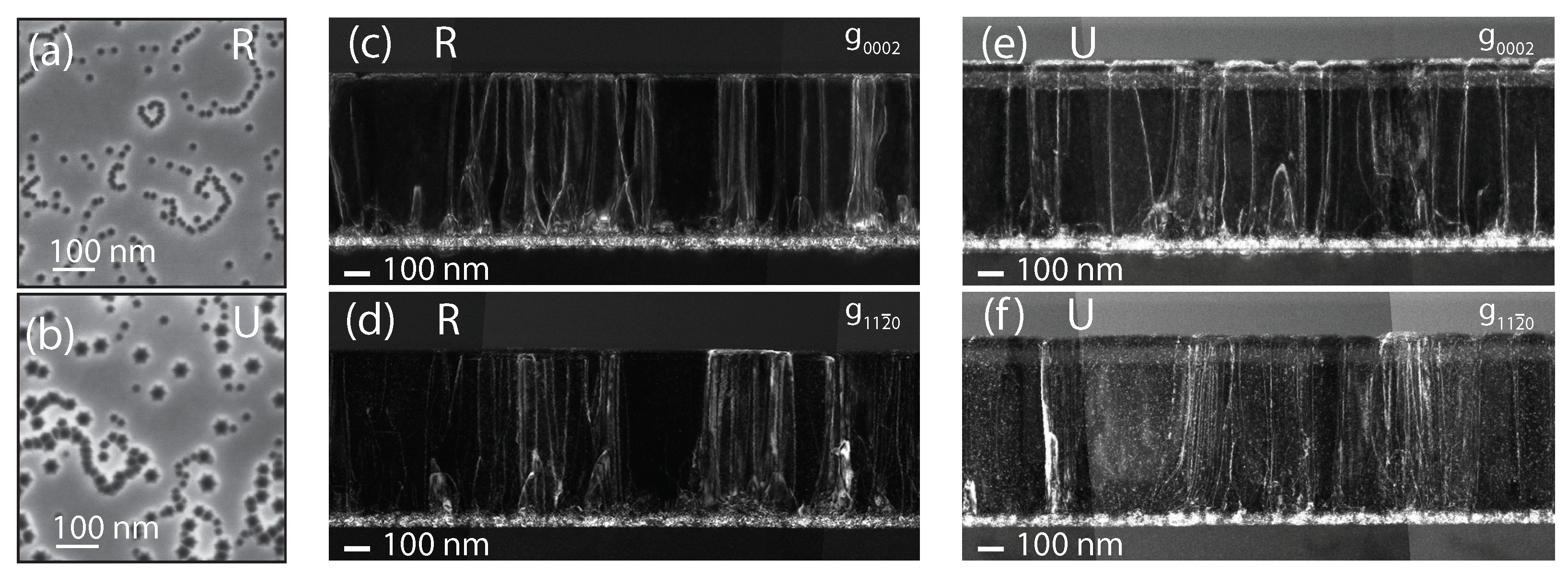 Nanomaterials 13 02569 g002