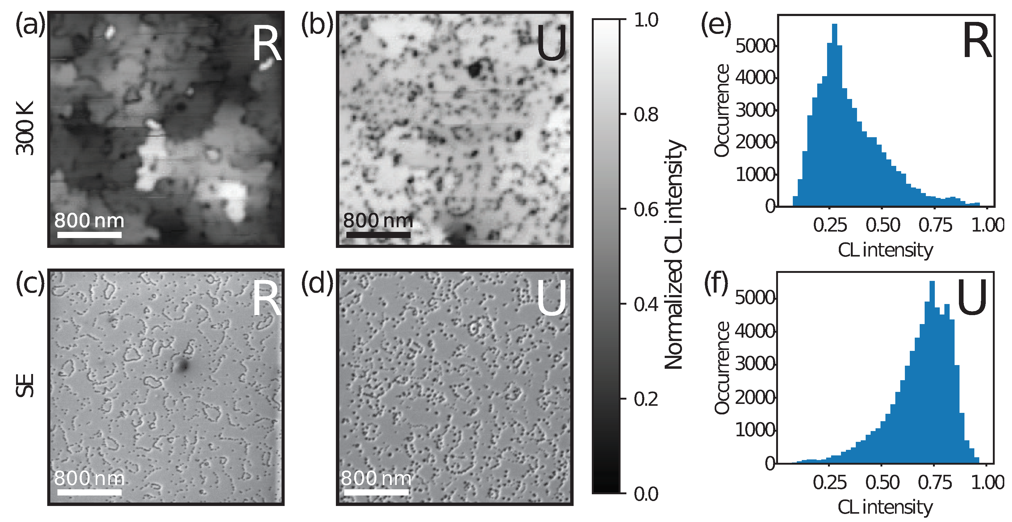 Nanomaterials 13 02569 g004