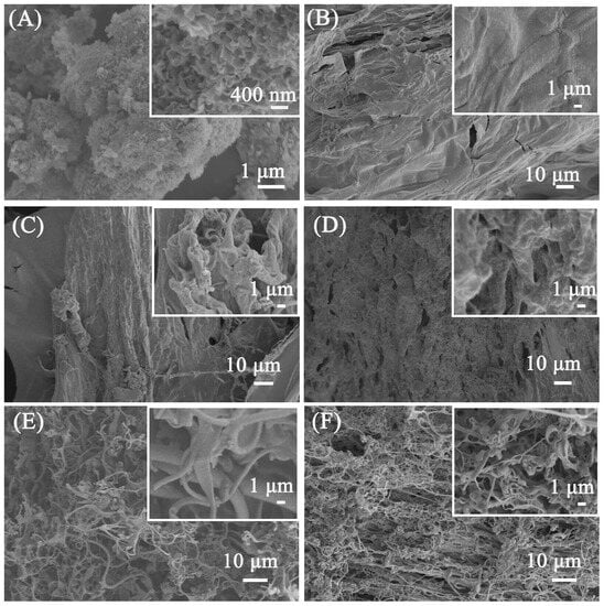 Water absorbency of super absorbent polymer based on flexible