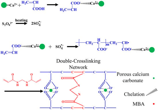 Water absorbency of super absorbent polymer based on flexible