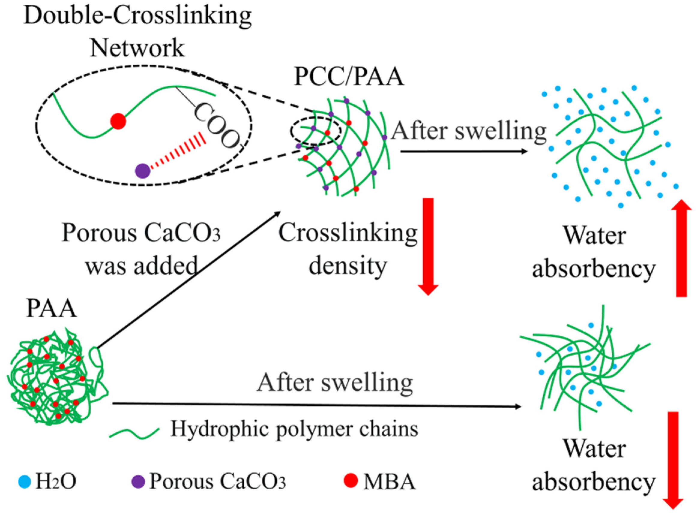 Nanomaterials 13 02575 g011