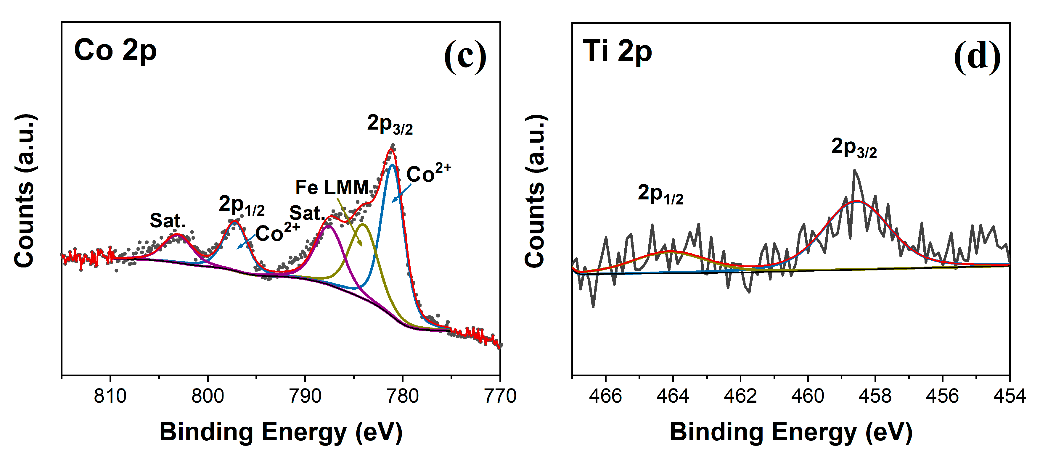 Nanomaterials 13 02579 g002b