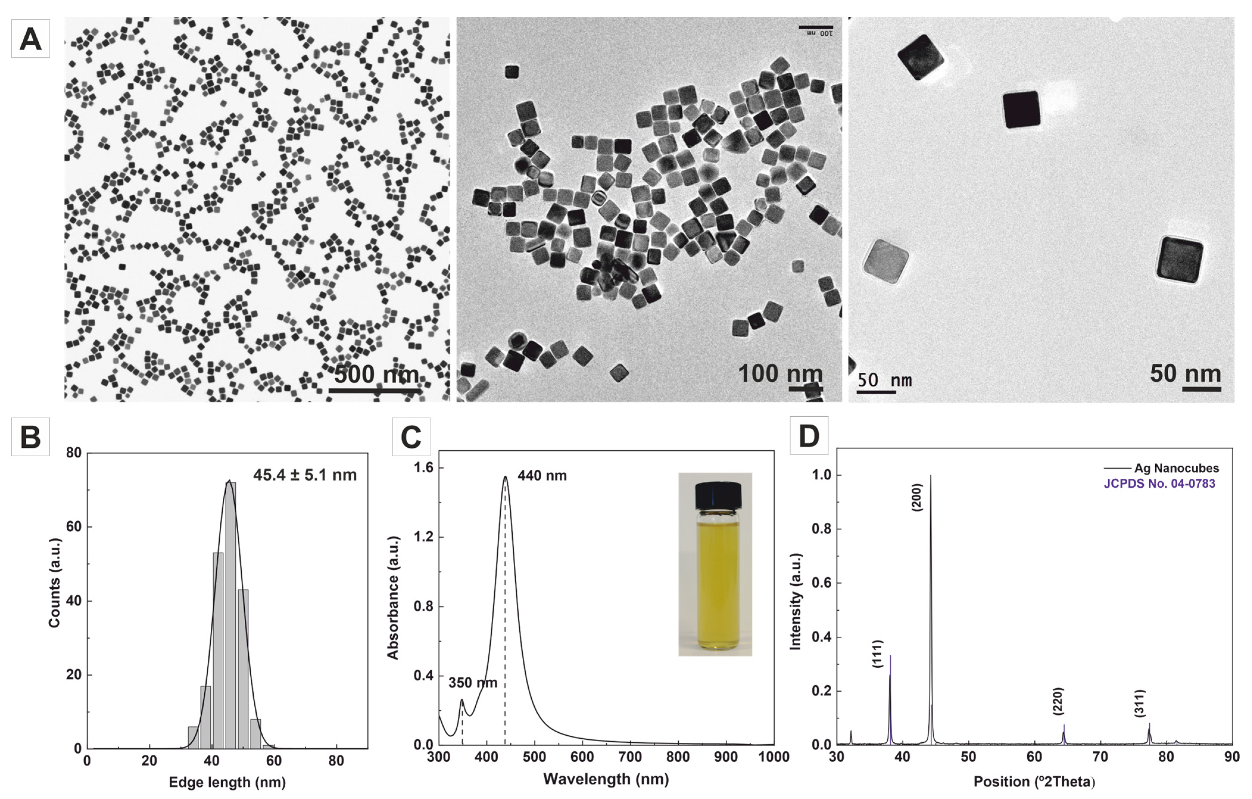 Nanomaterials 13 02590 g001