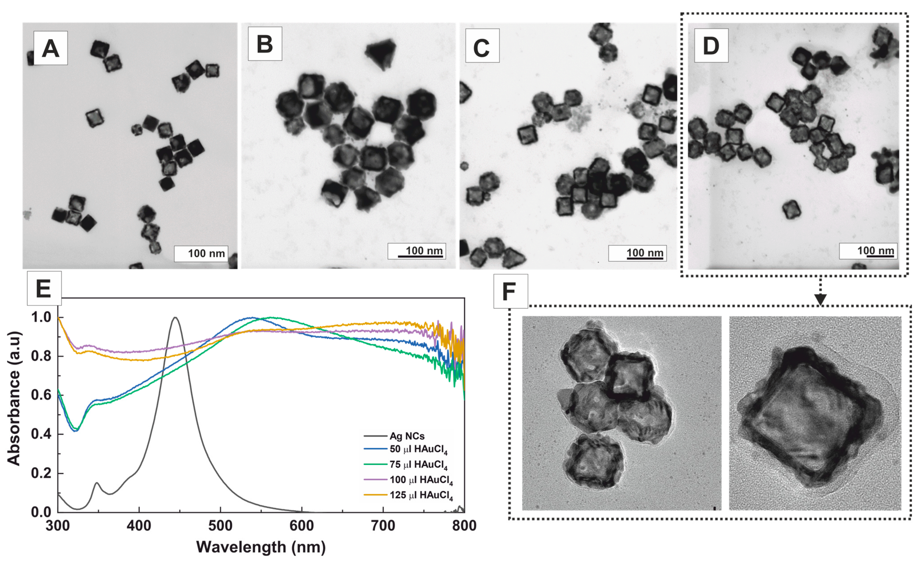Nanomaterials 13 02590 g004