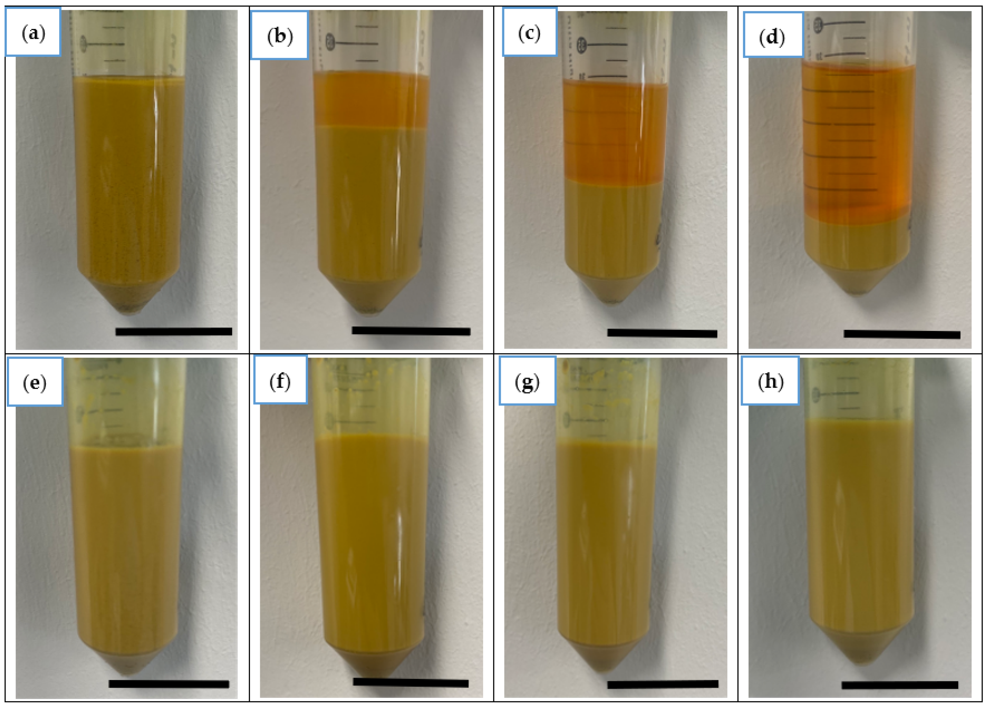 Nanomaterials 13 02601 g002 Nanomaterials 13 02601 g002