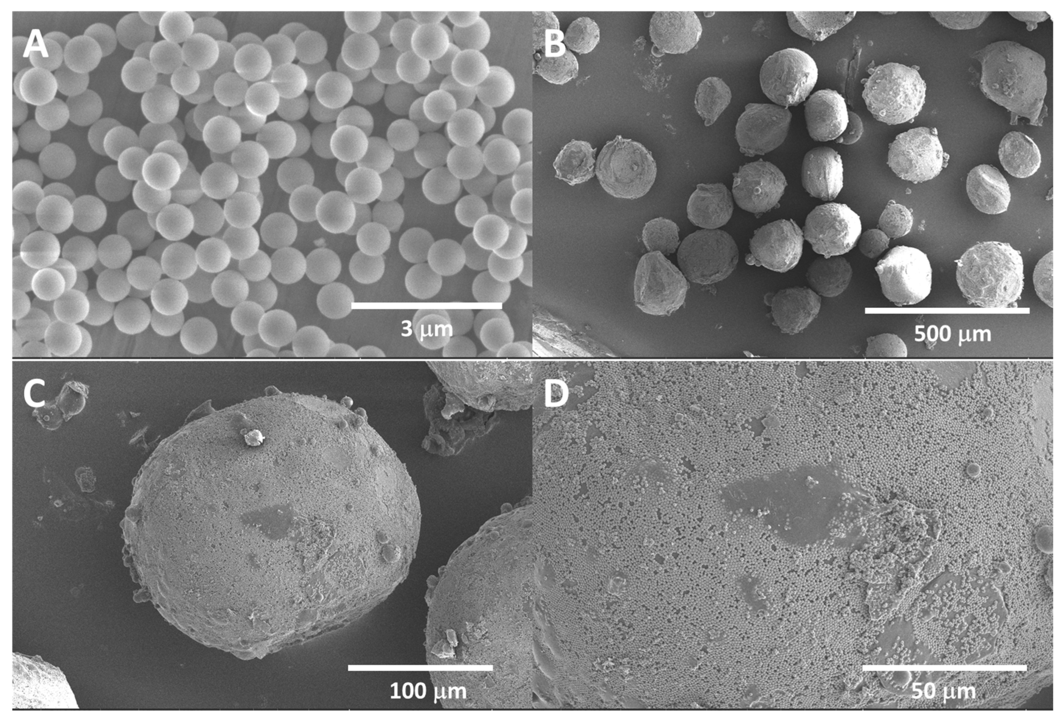 https://www.mdpi.com/nanomaterials/nanomaterials-13-02619/article_deploy/html/images/nanomaterials-13-02619-g001.png