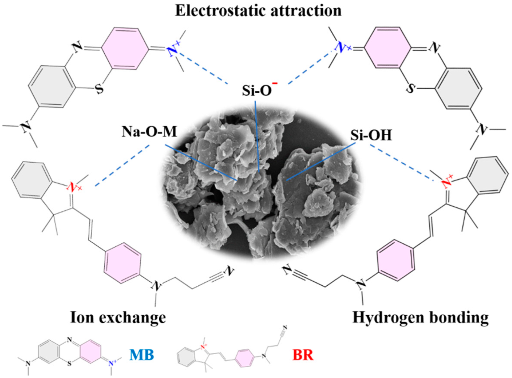 Nanomaterials 13 02627 g010