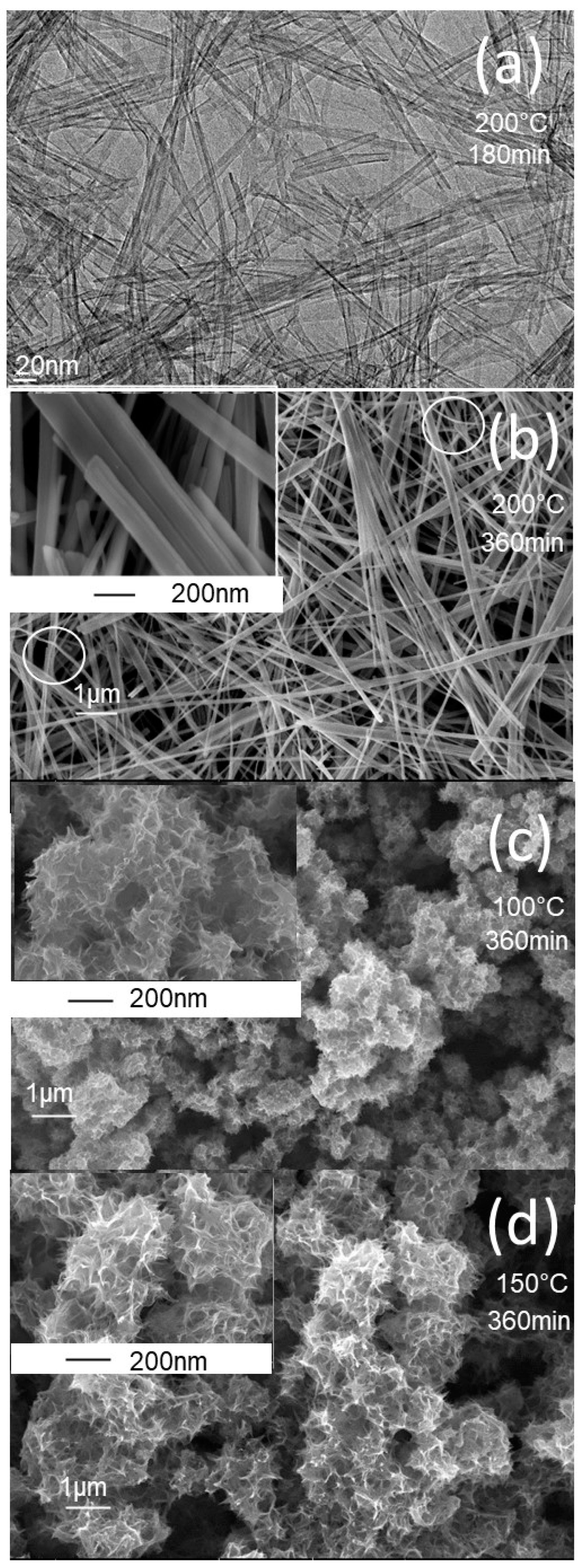 Nanomaterials 13 02636 g001