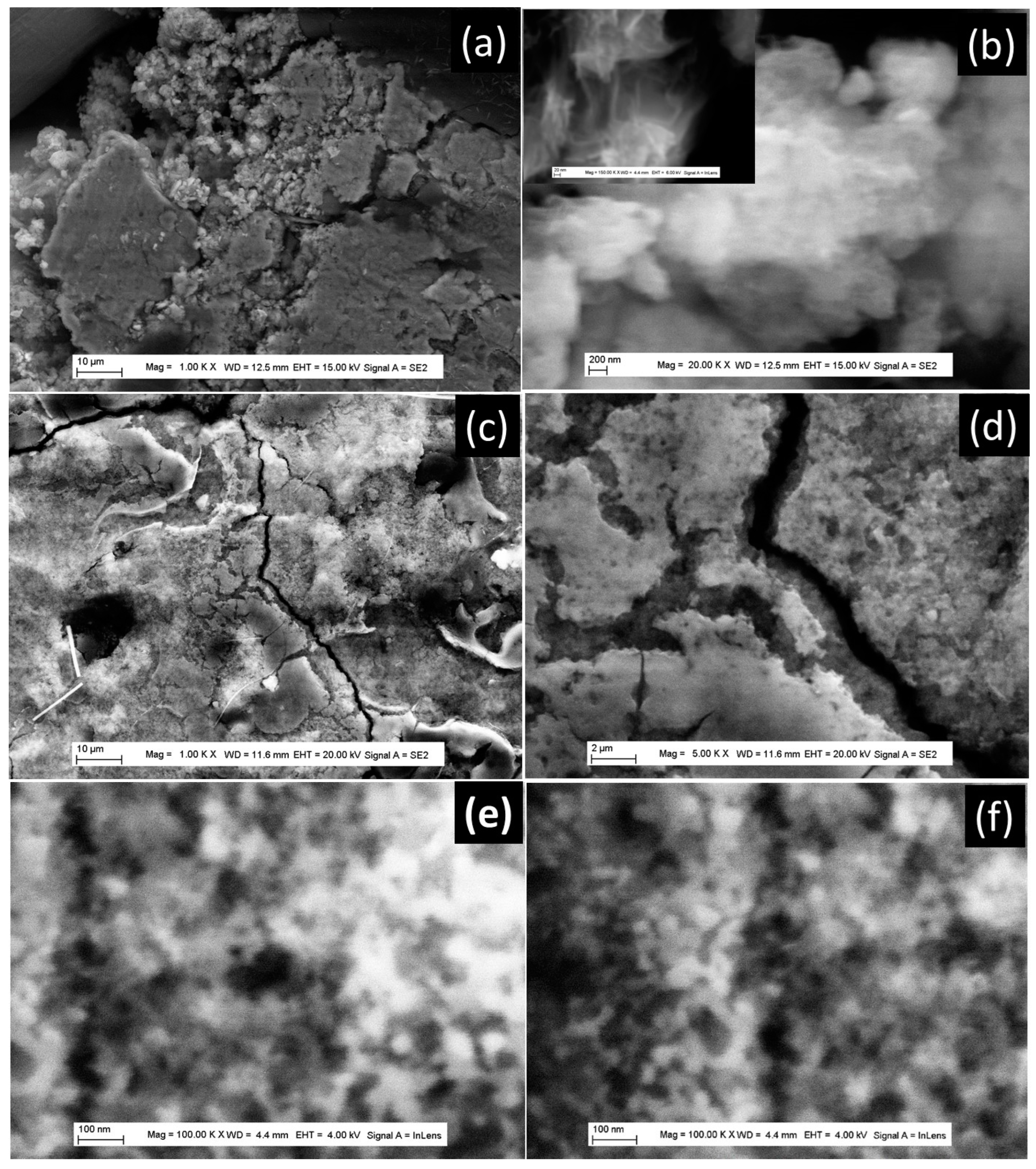 Nanomaterials 13 02636 g008