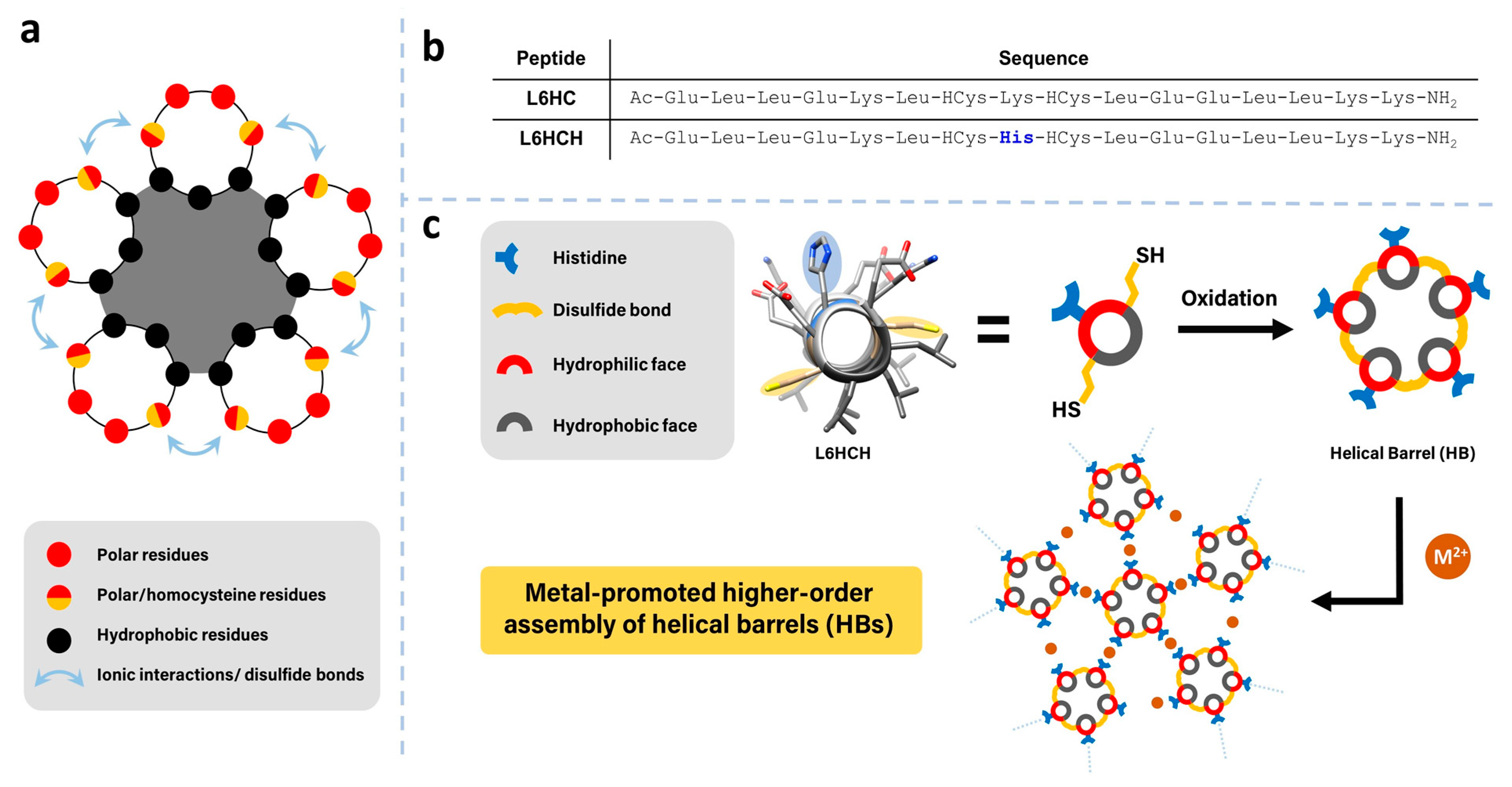 Nanomaterials 13 02645 g001
