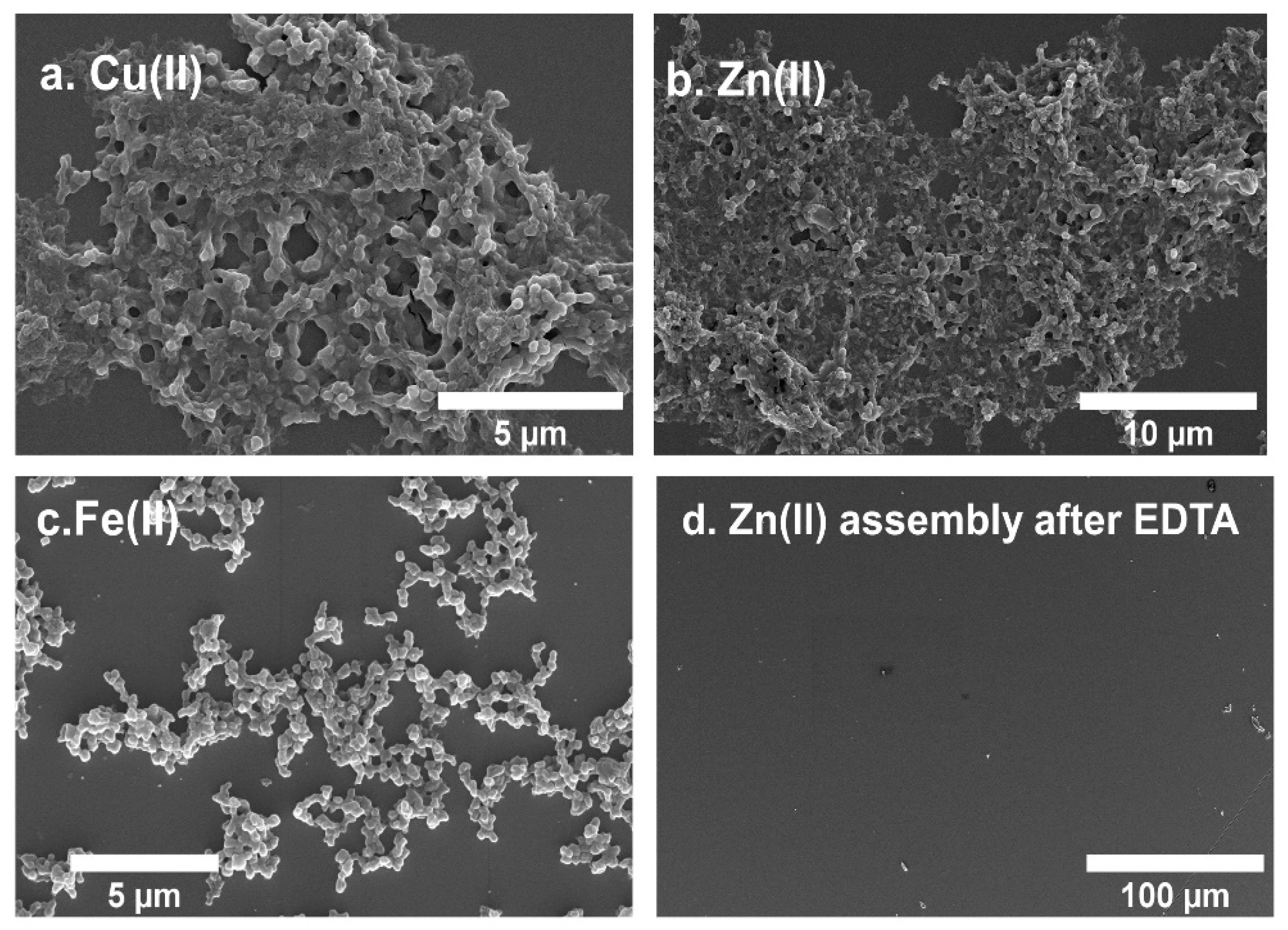 Nanomaterials 13 02645 g006