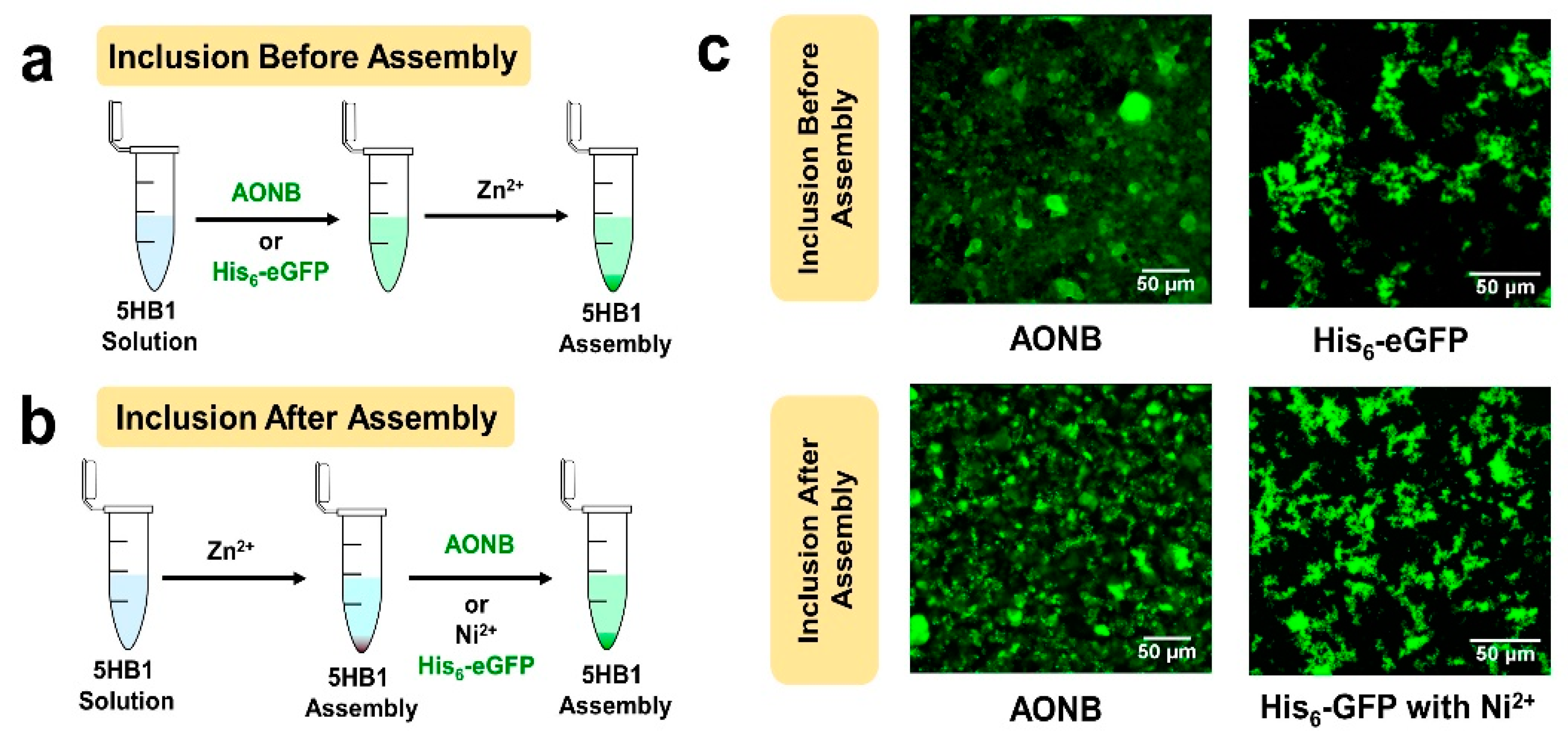 Nanomaterials 13 02645 g007