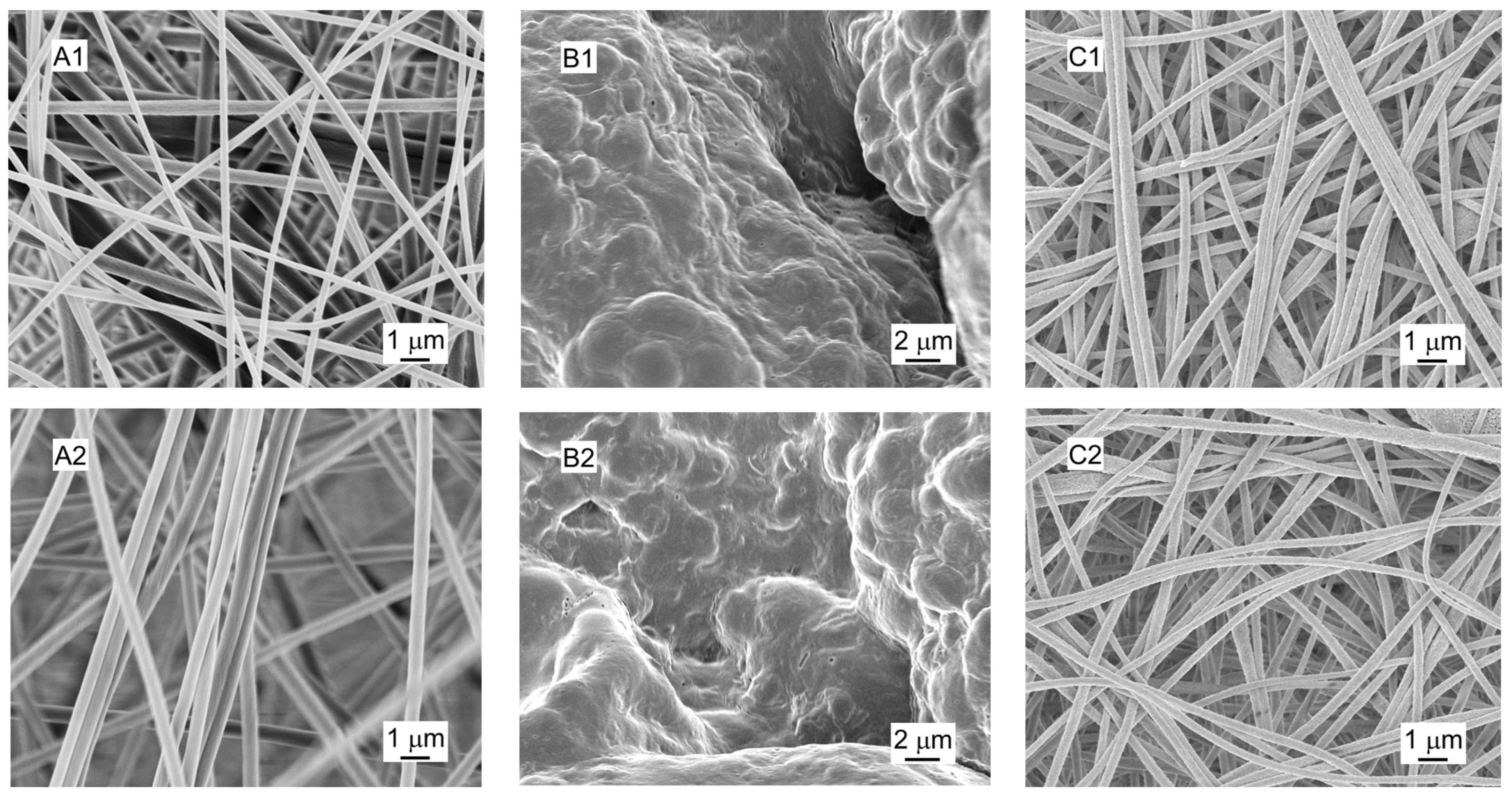 Nanomaterials 13 02646 g001