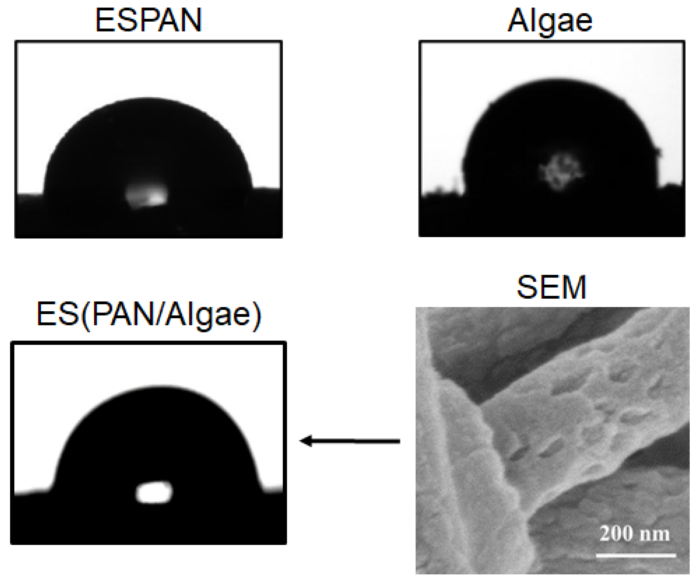 Nanomaterials 13 02646 g003