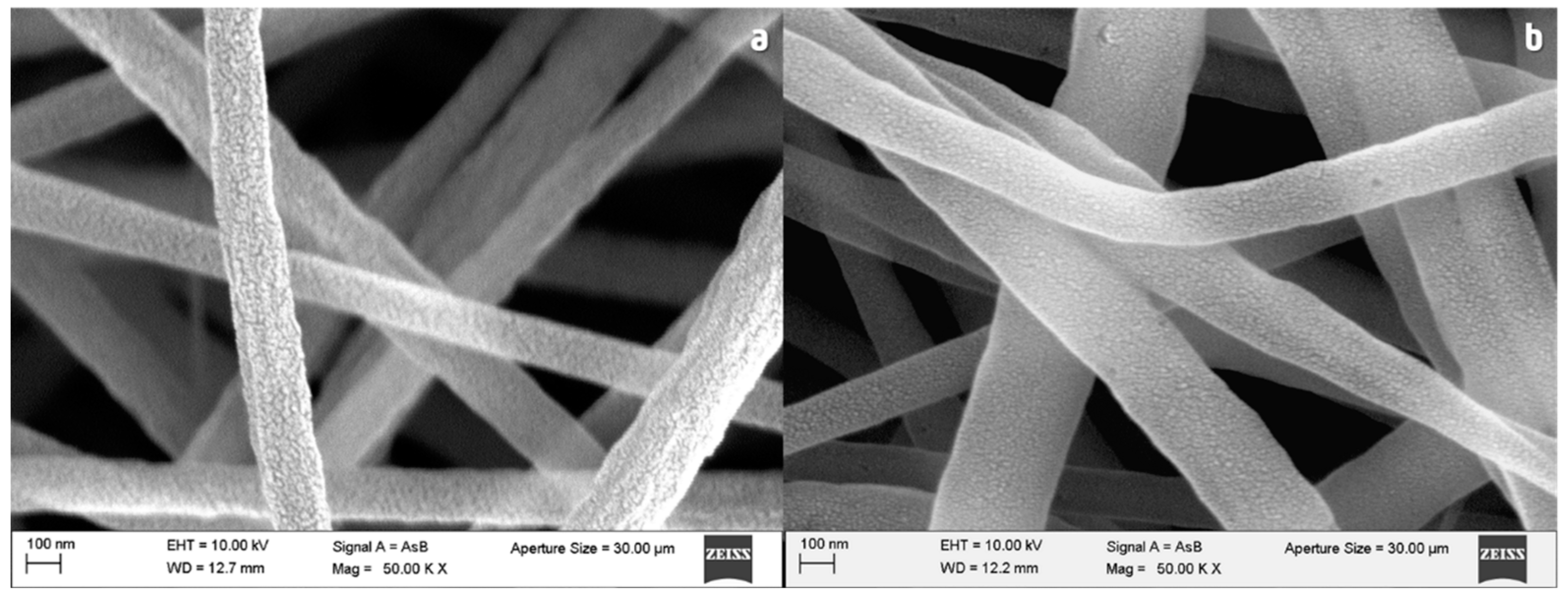 Nanomaterials 13 02648 g006