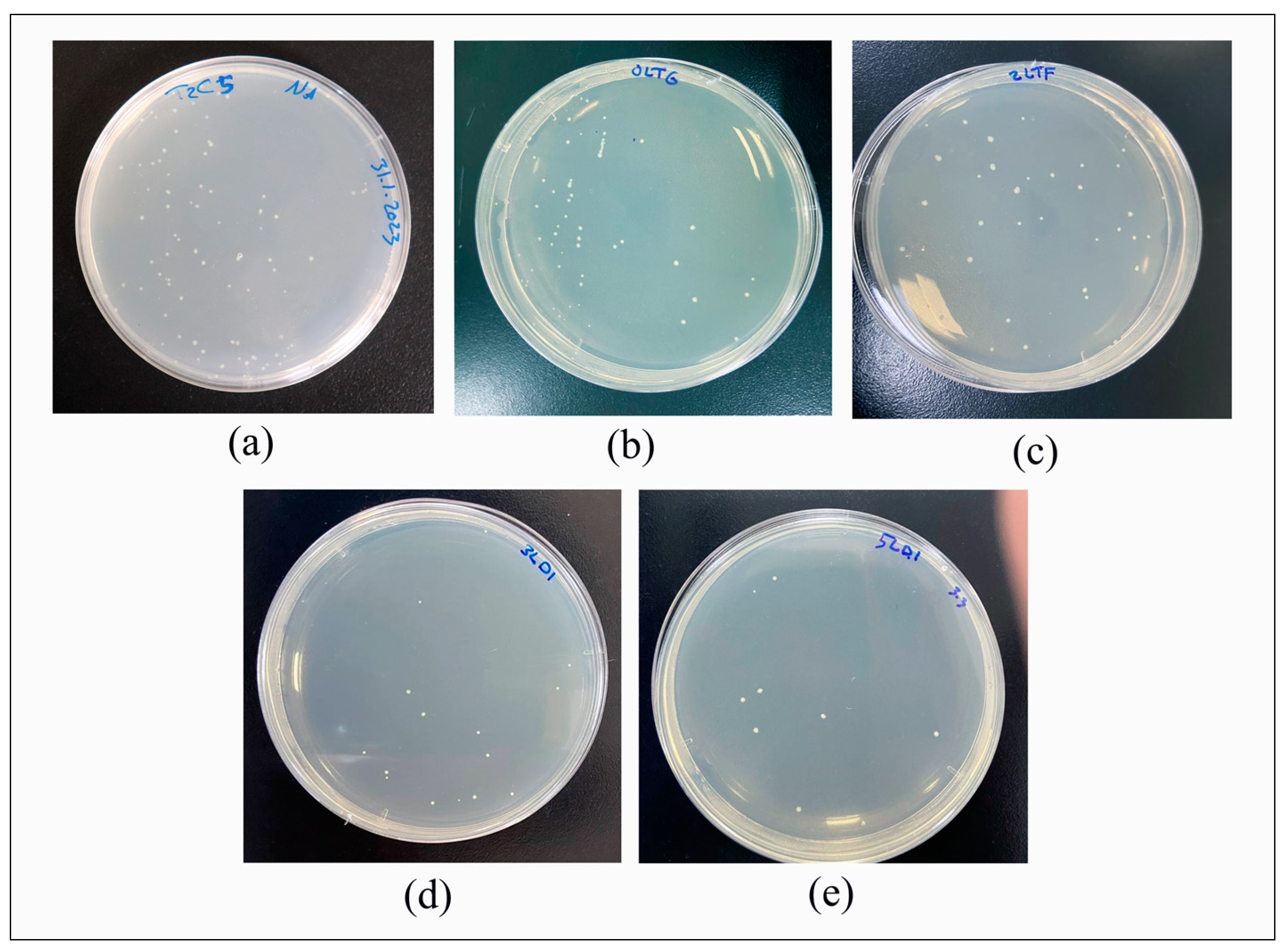Nanomaterials 13 02649 g004