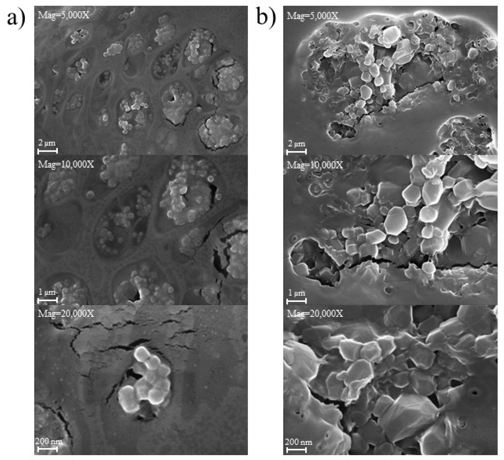 Nanomaterials 13 02679 g014