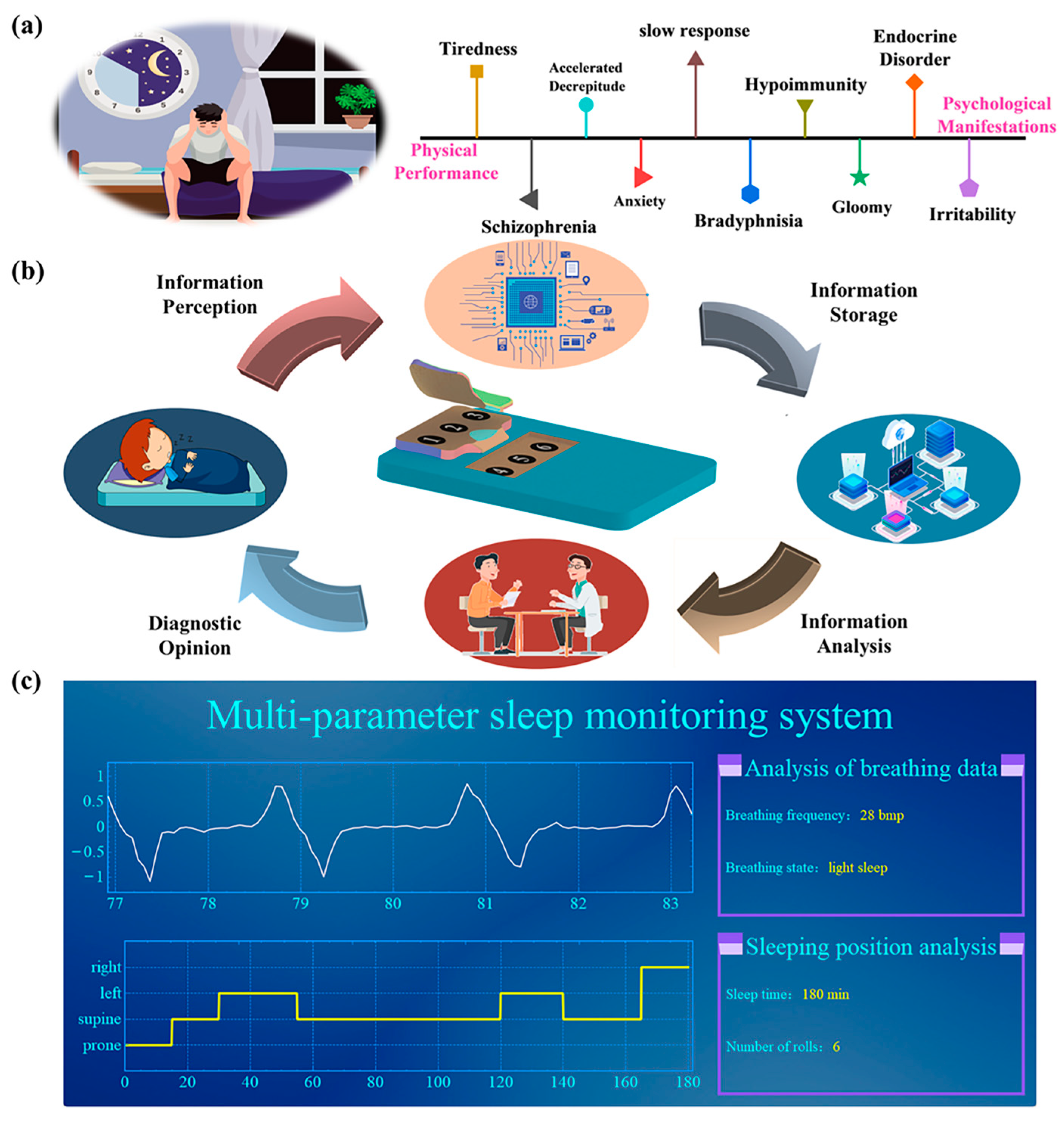 Nanomaterials 13 02692 g006