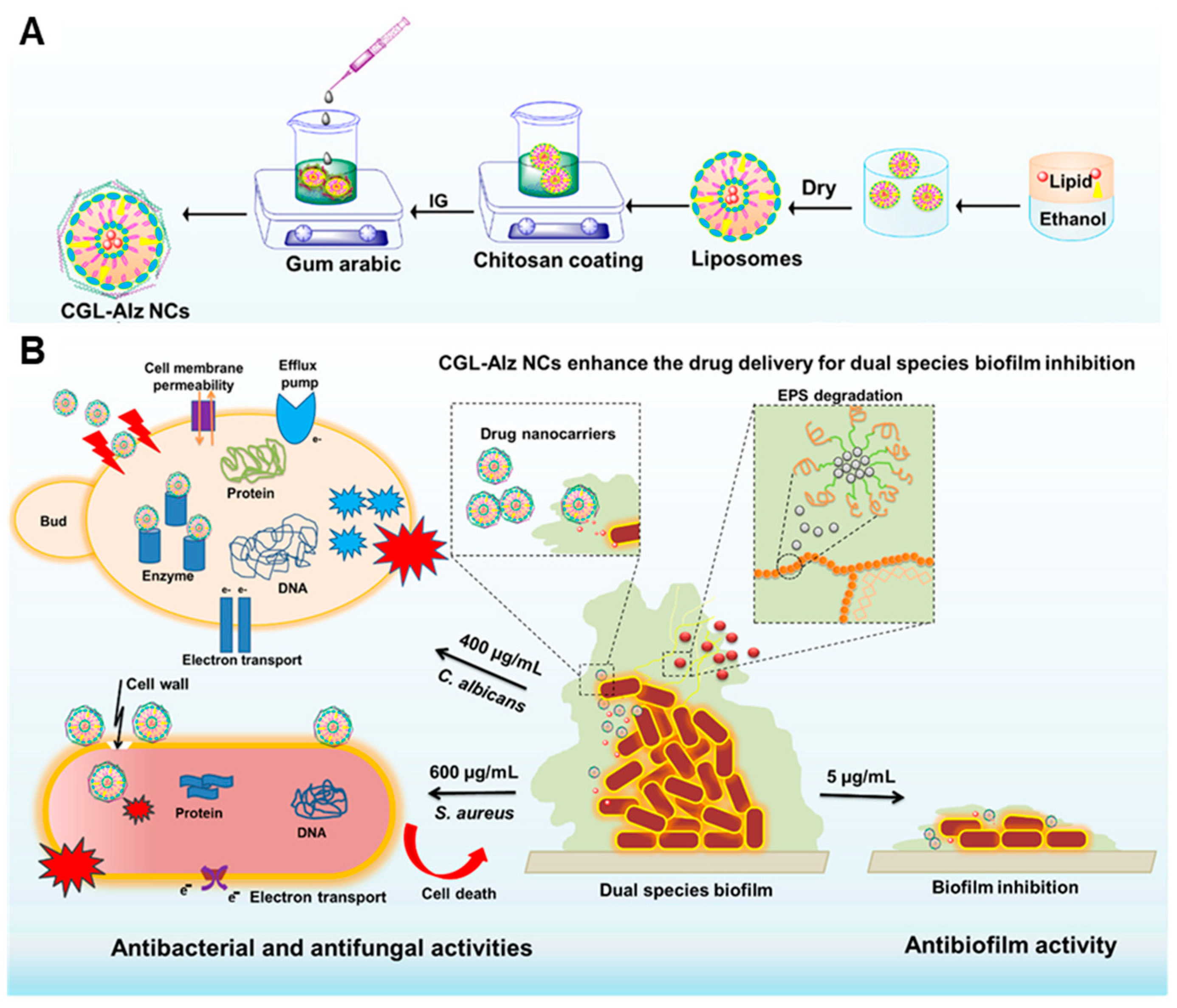 Nanomaterials 13 02725 g005