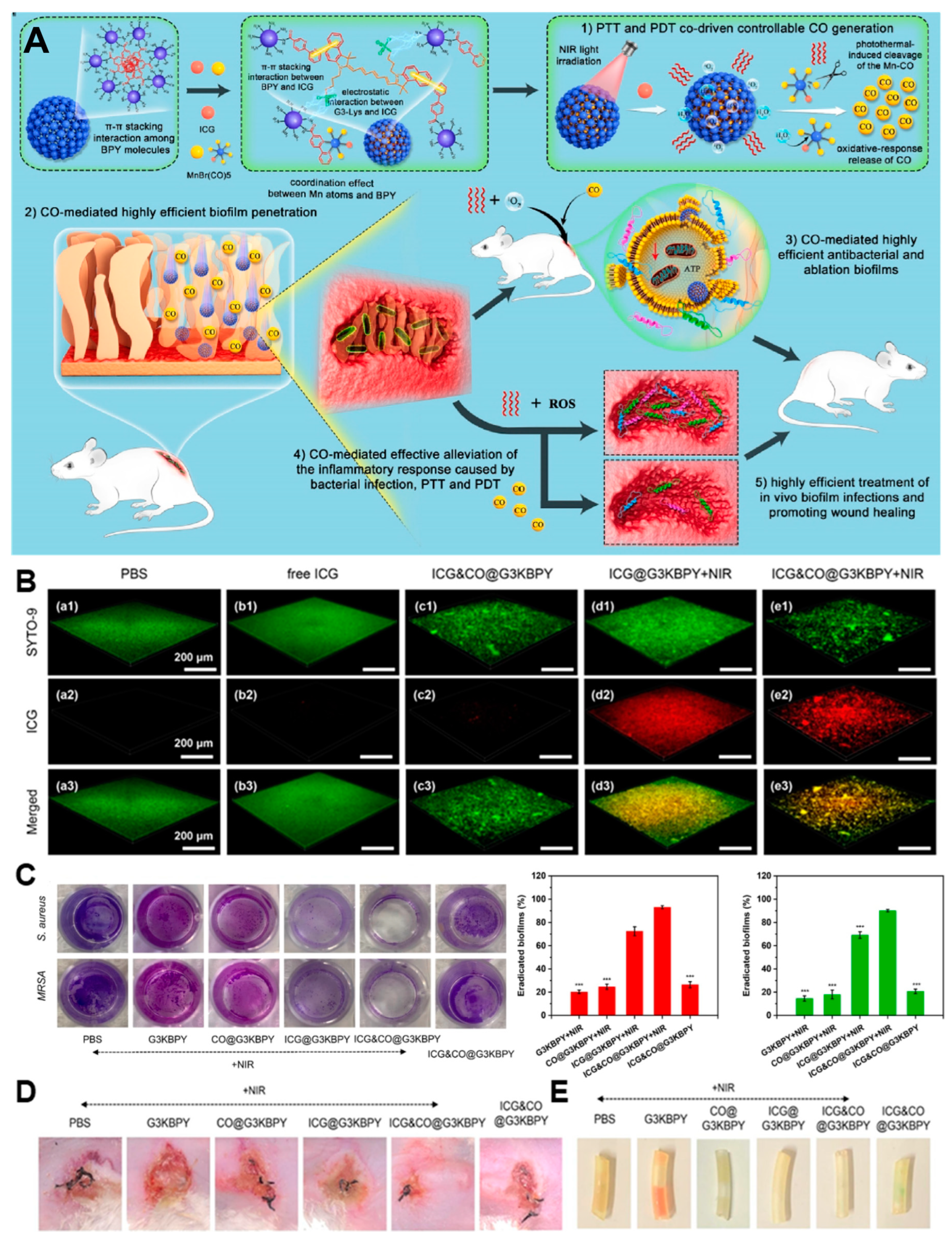 Nanomaterials 13 02725 g009