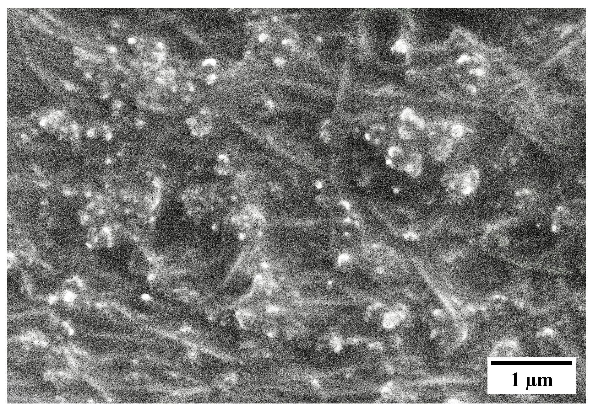 Nanomaterials 13 02728 g006
