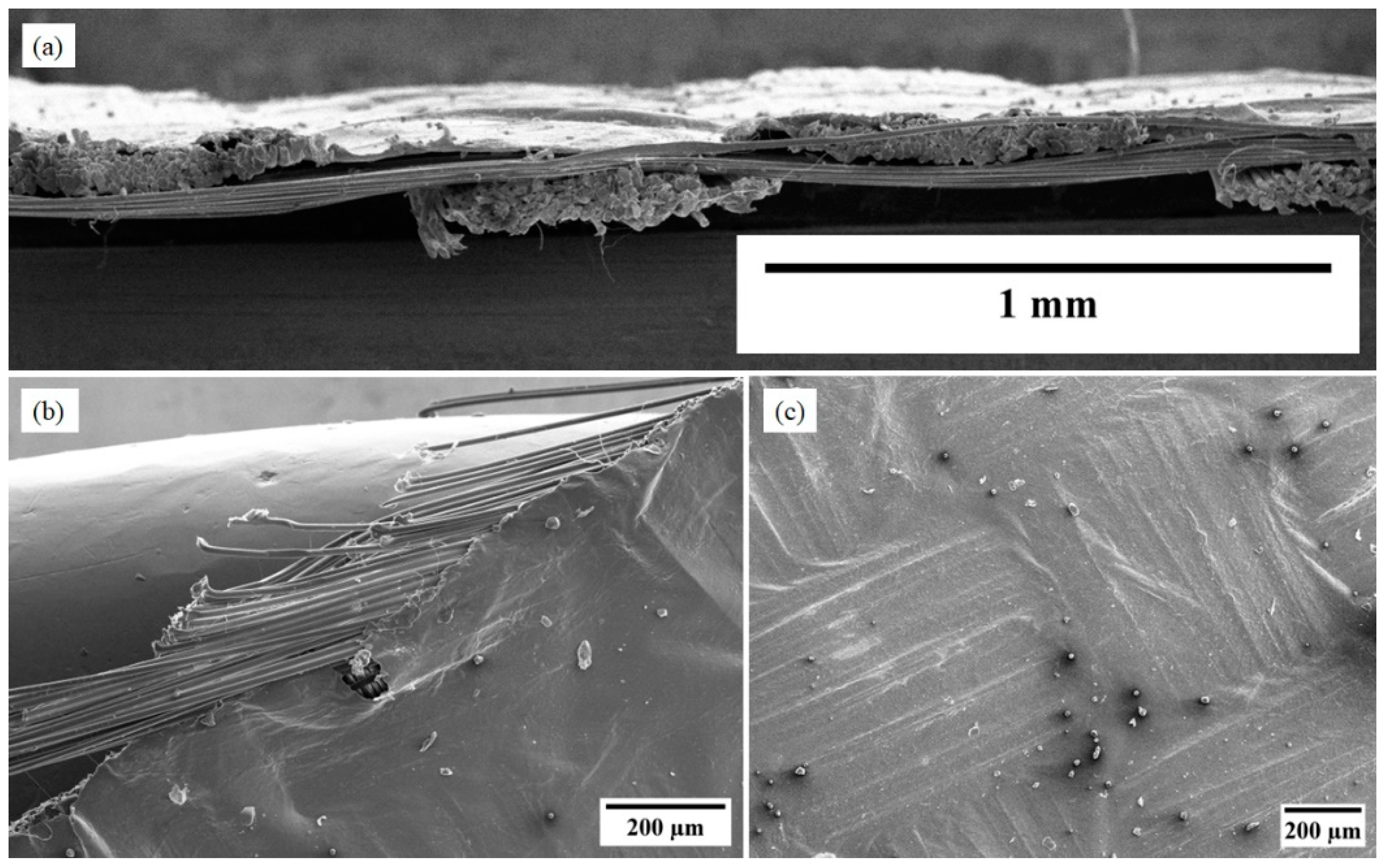 Nanomaterials 13 02728 g013