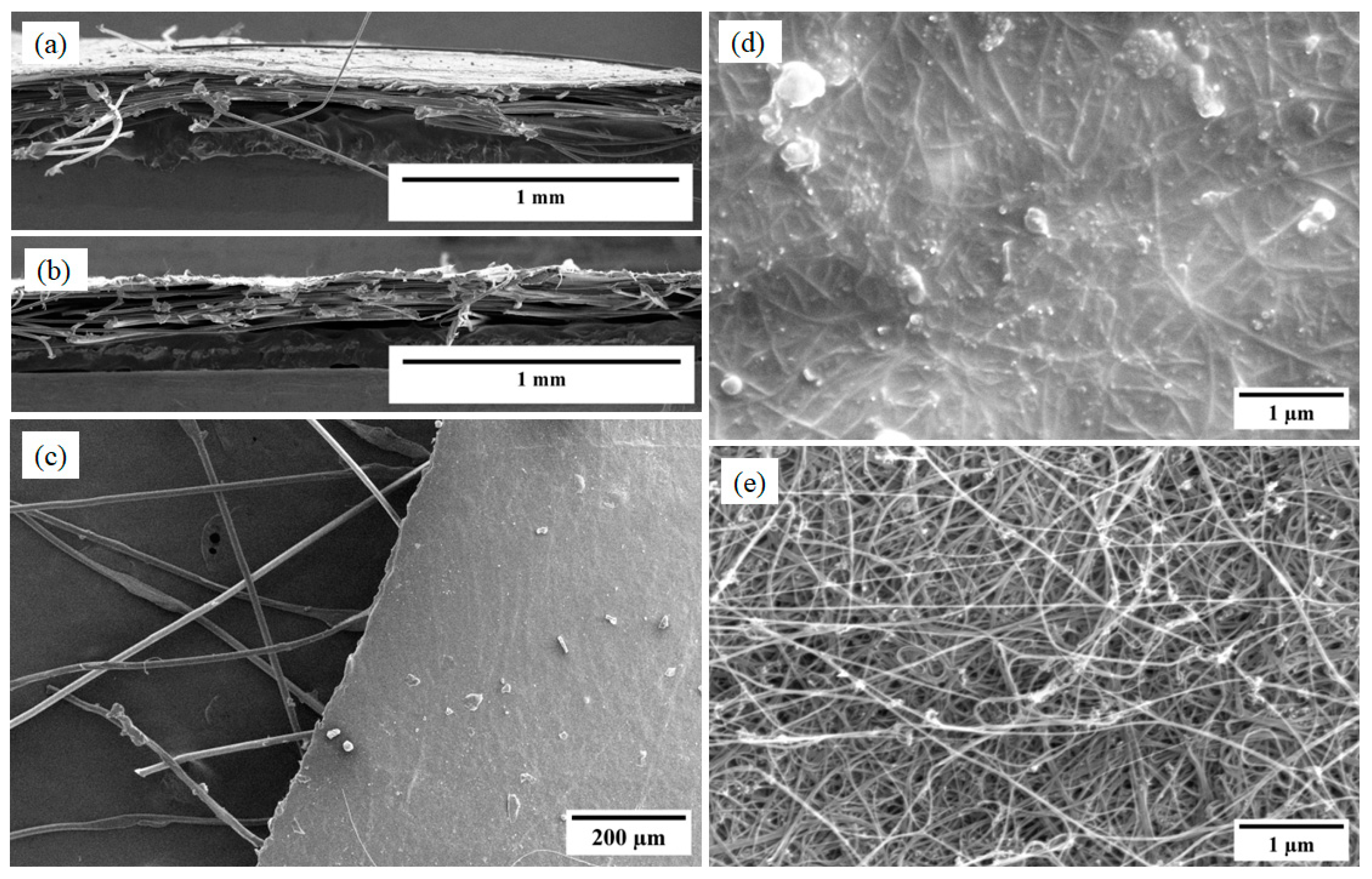 Nanomaterials 13 02728 g015