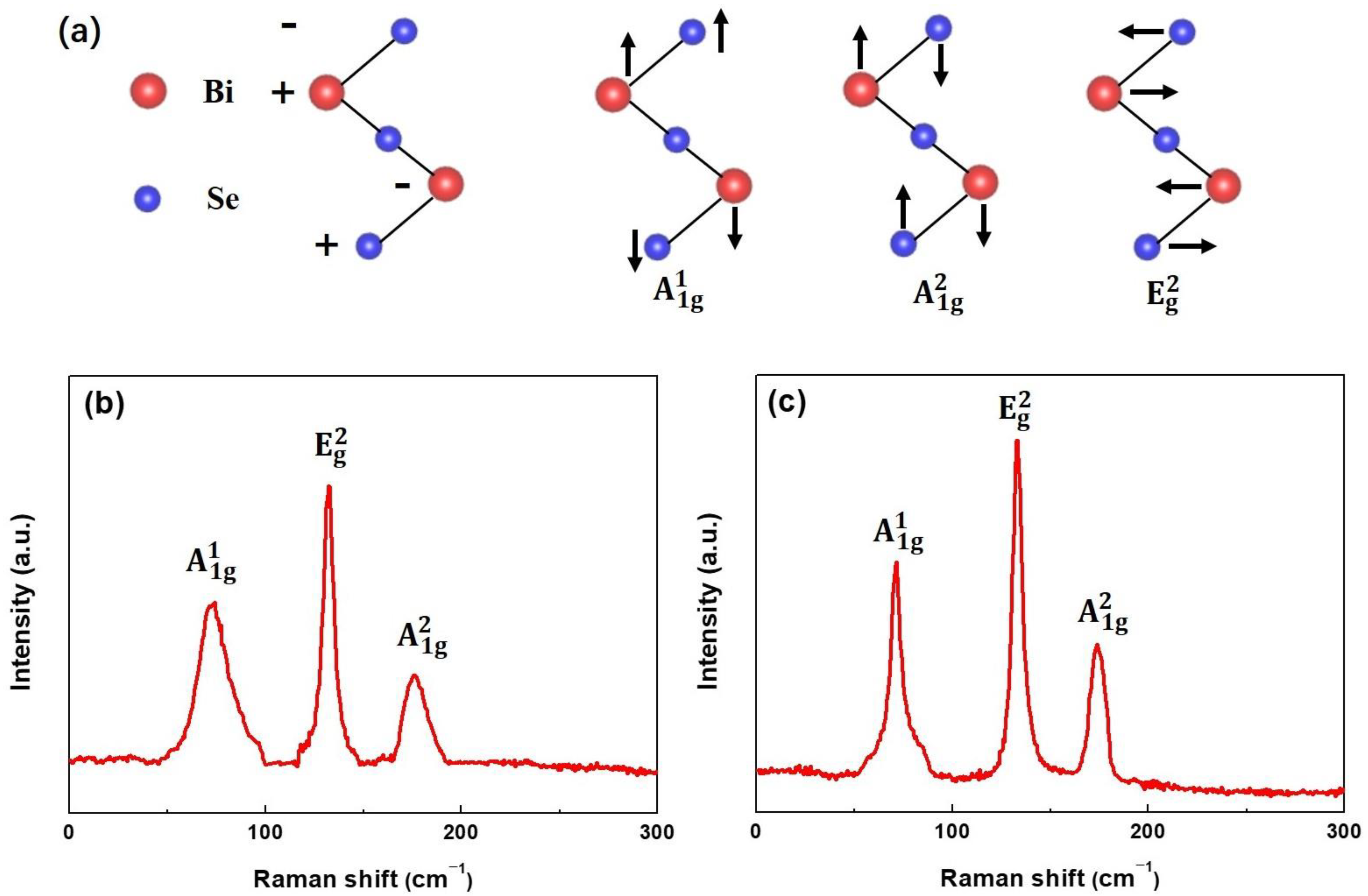 Nanomaterials 13 02785 g002