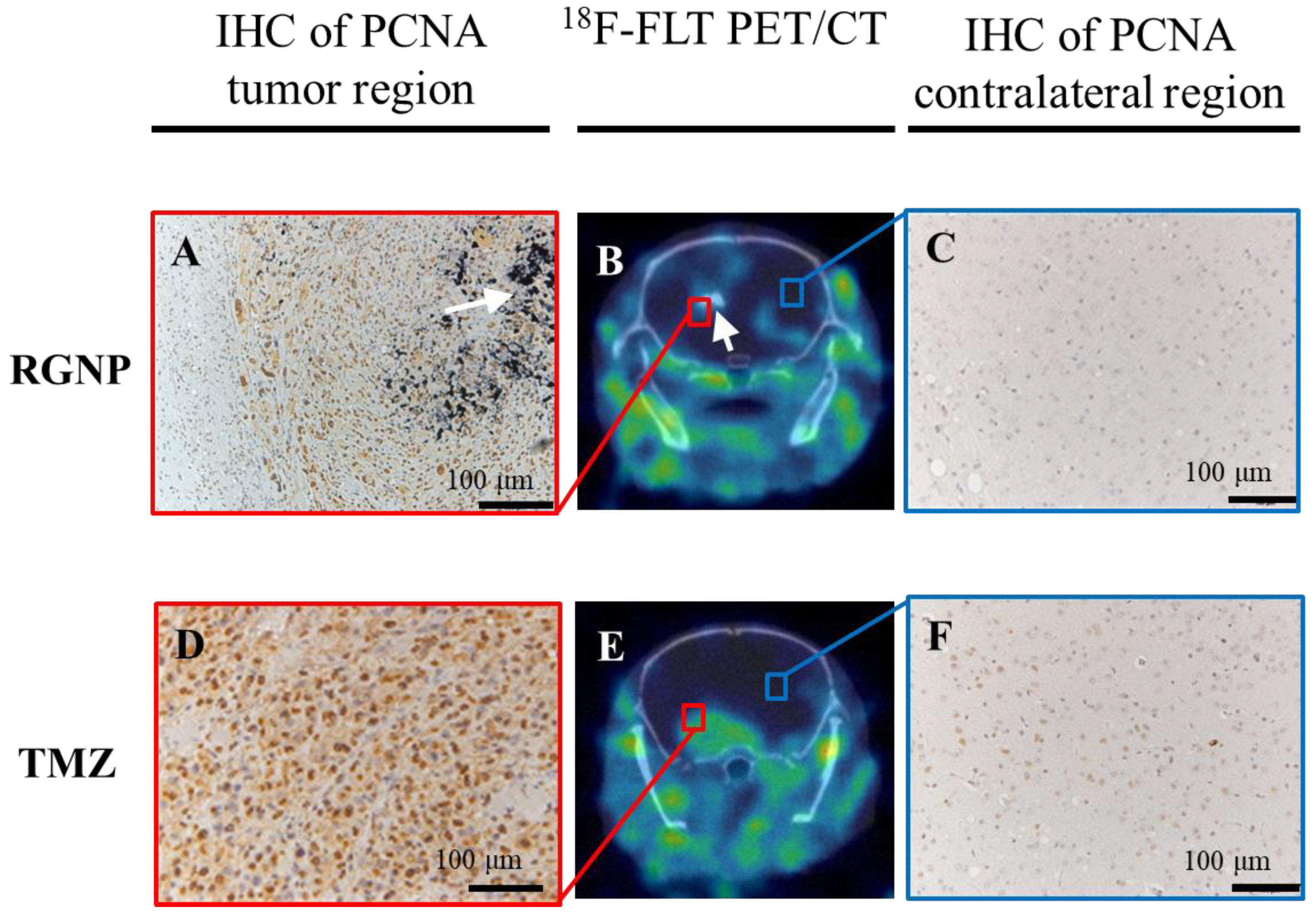 Nanomaterials 13 02821 g006 Nanomaterials 13 02821 g006