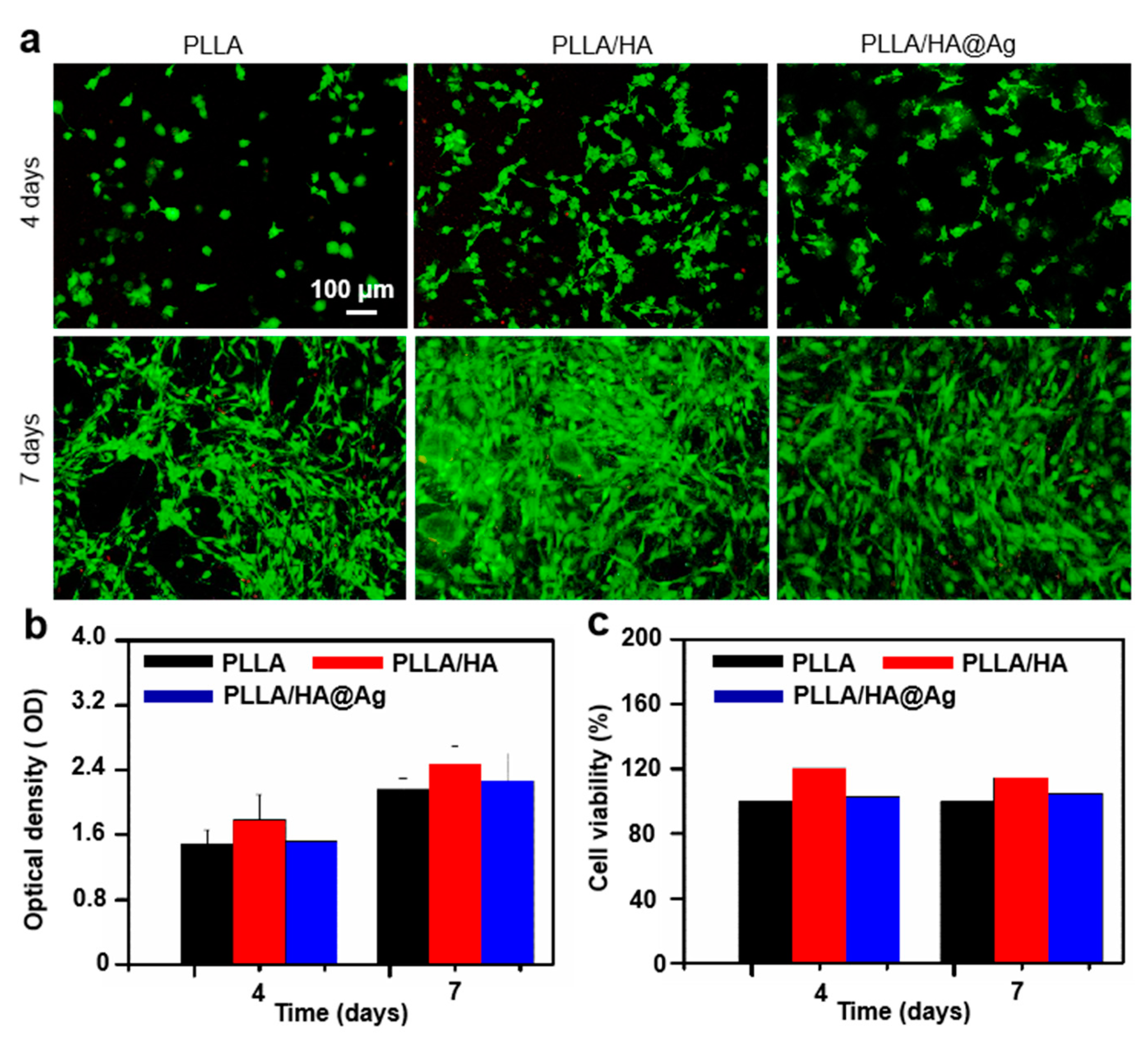 Nanomaterials 13 02828 g007
