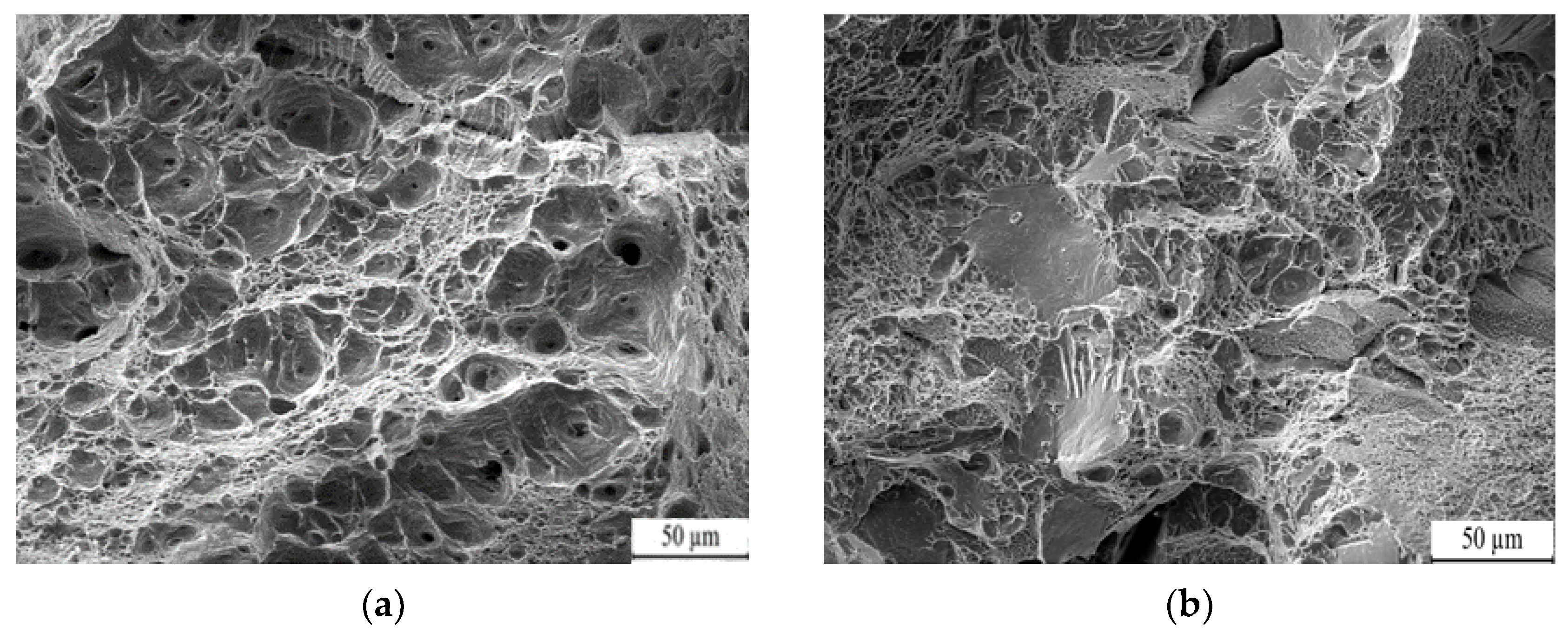 Nanomaterials 13 02829 g013