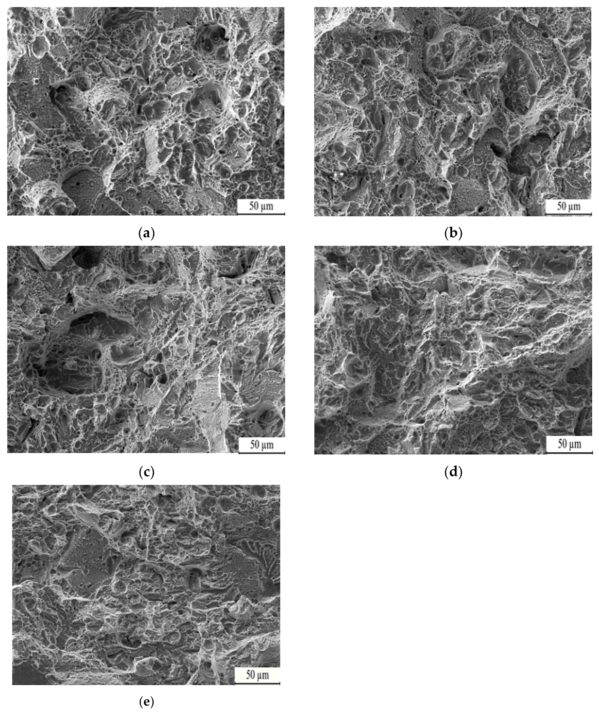 Nanomaterials 13 02829 g016