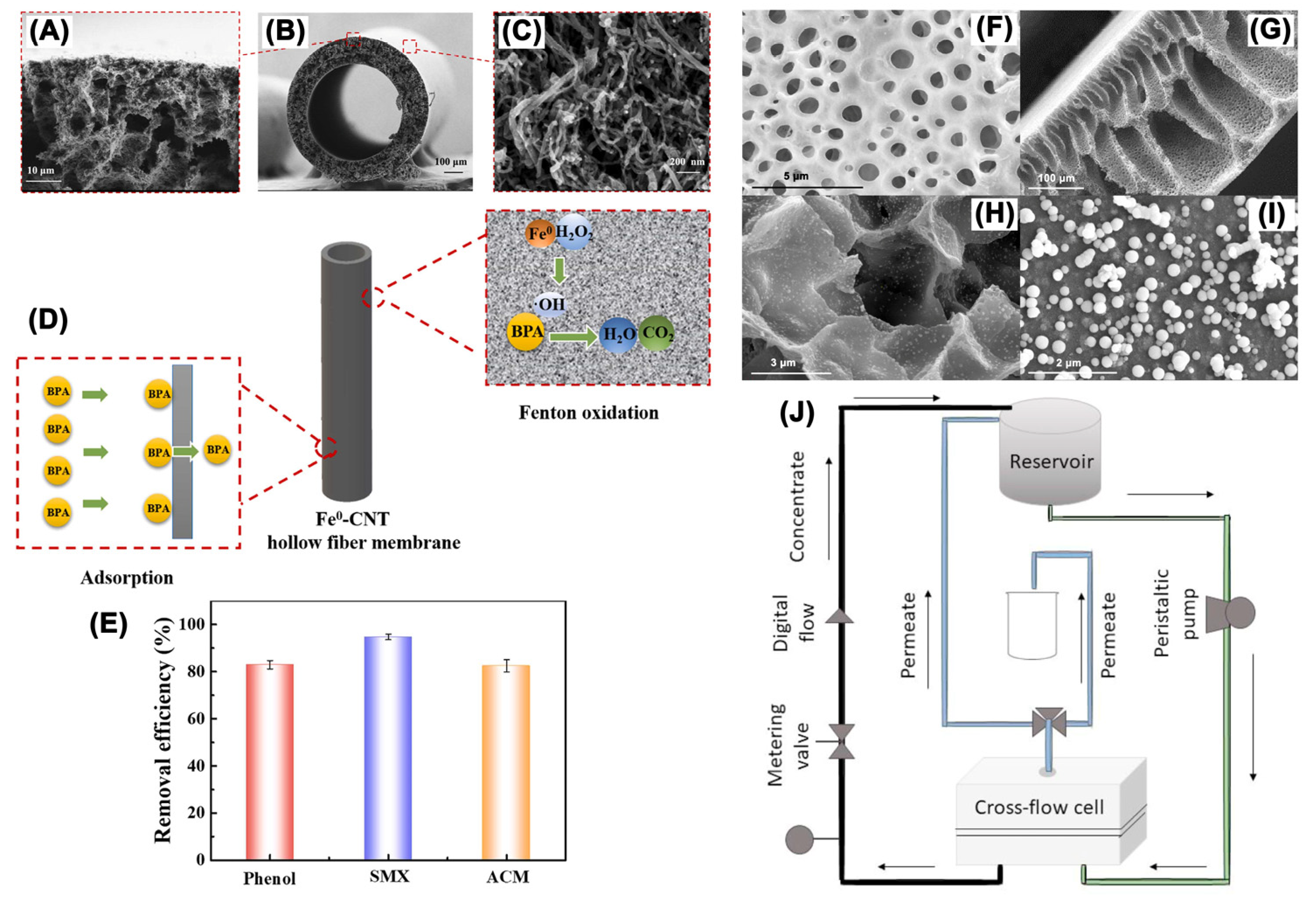 Nanomaterials 13 02830 g010