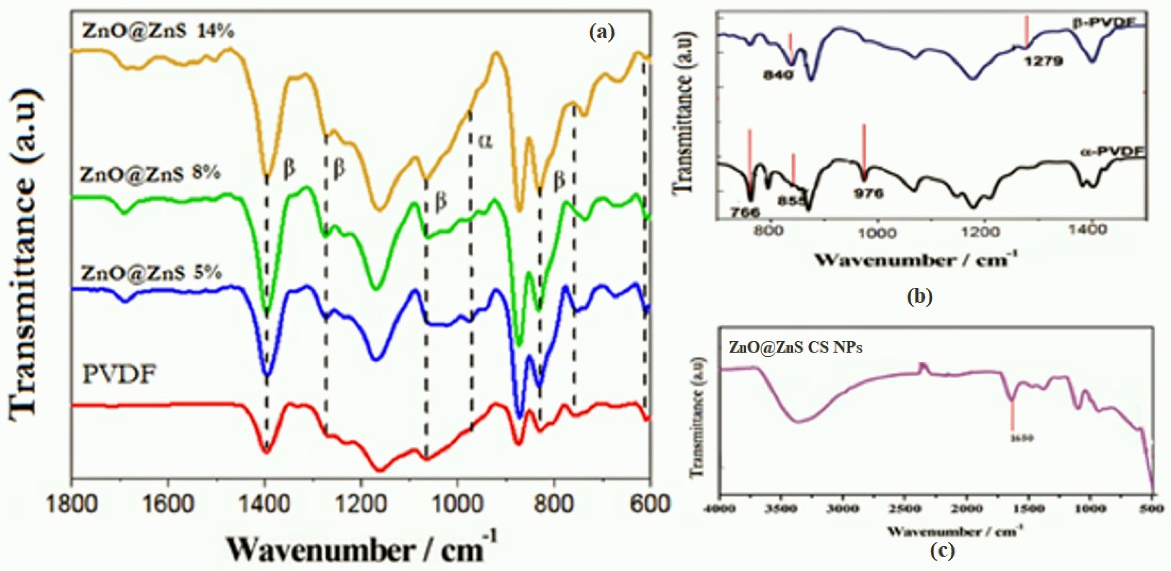 Nanomaterials 13 02833 g005