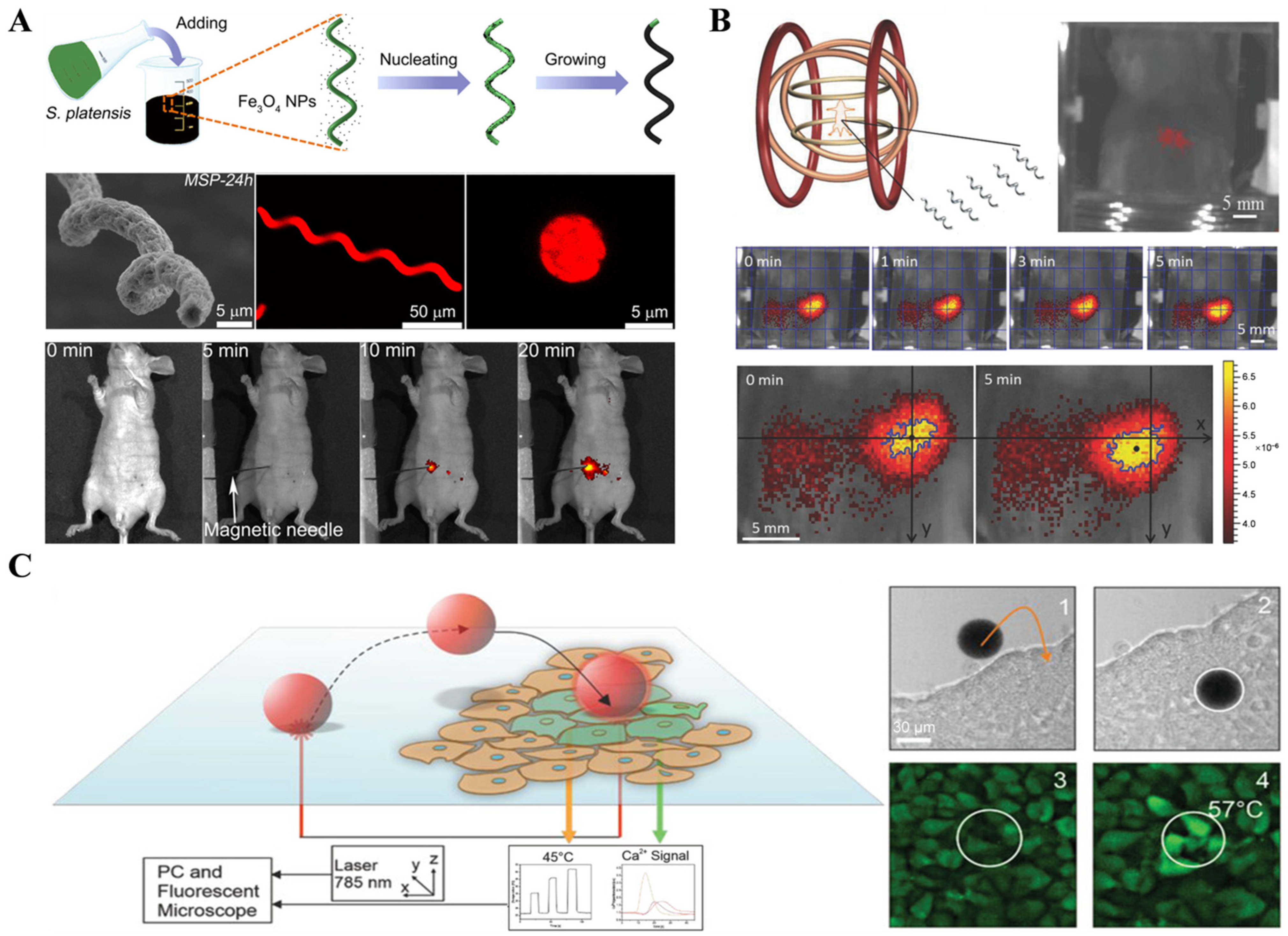 Nanomaterials 13 02872 g001 Nanomaterials 13 02872 g001