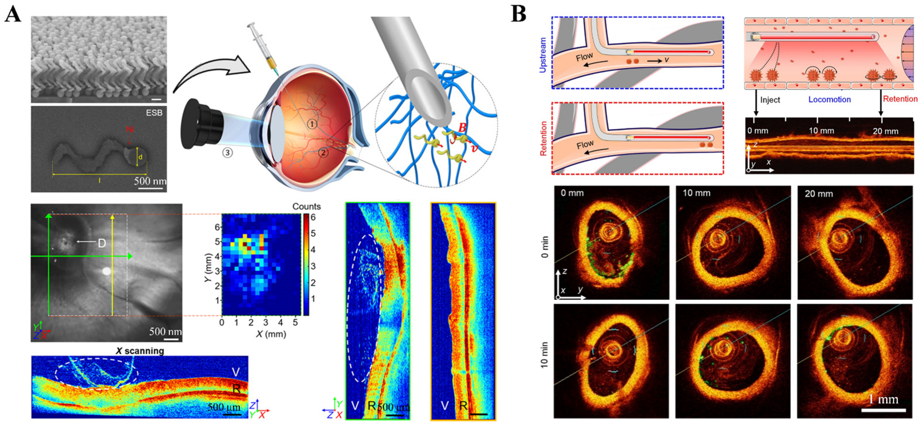 Nanomaterials 13 02872 g002 Nanomaterials 13 02872 g002